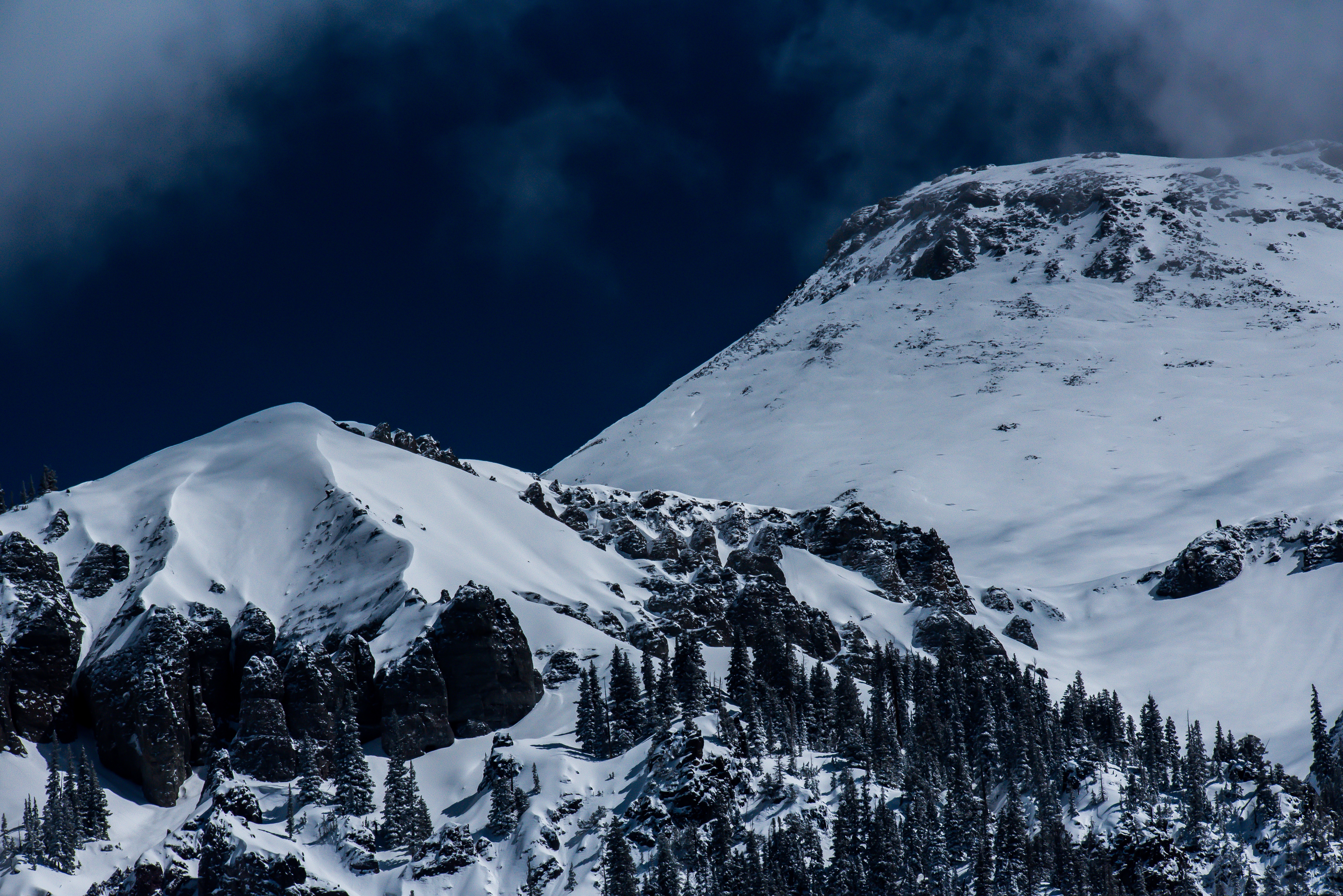 Wallpapers tree rock mountains on the desktop