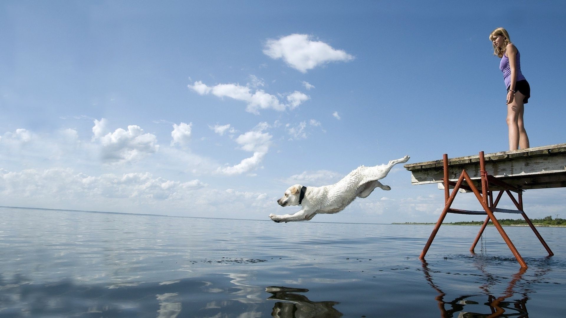 Wallpapers sea lake water on the desktop