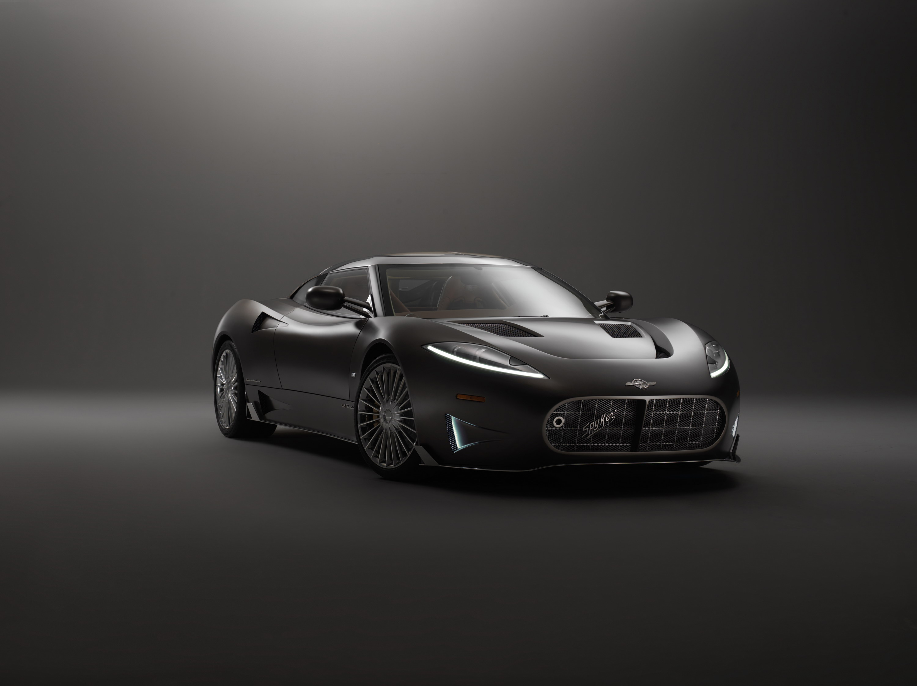 Free photo Black Spyker on a black background