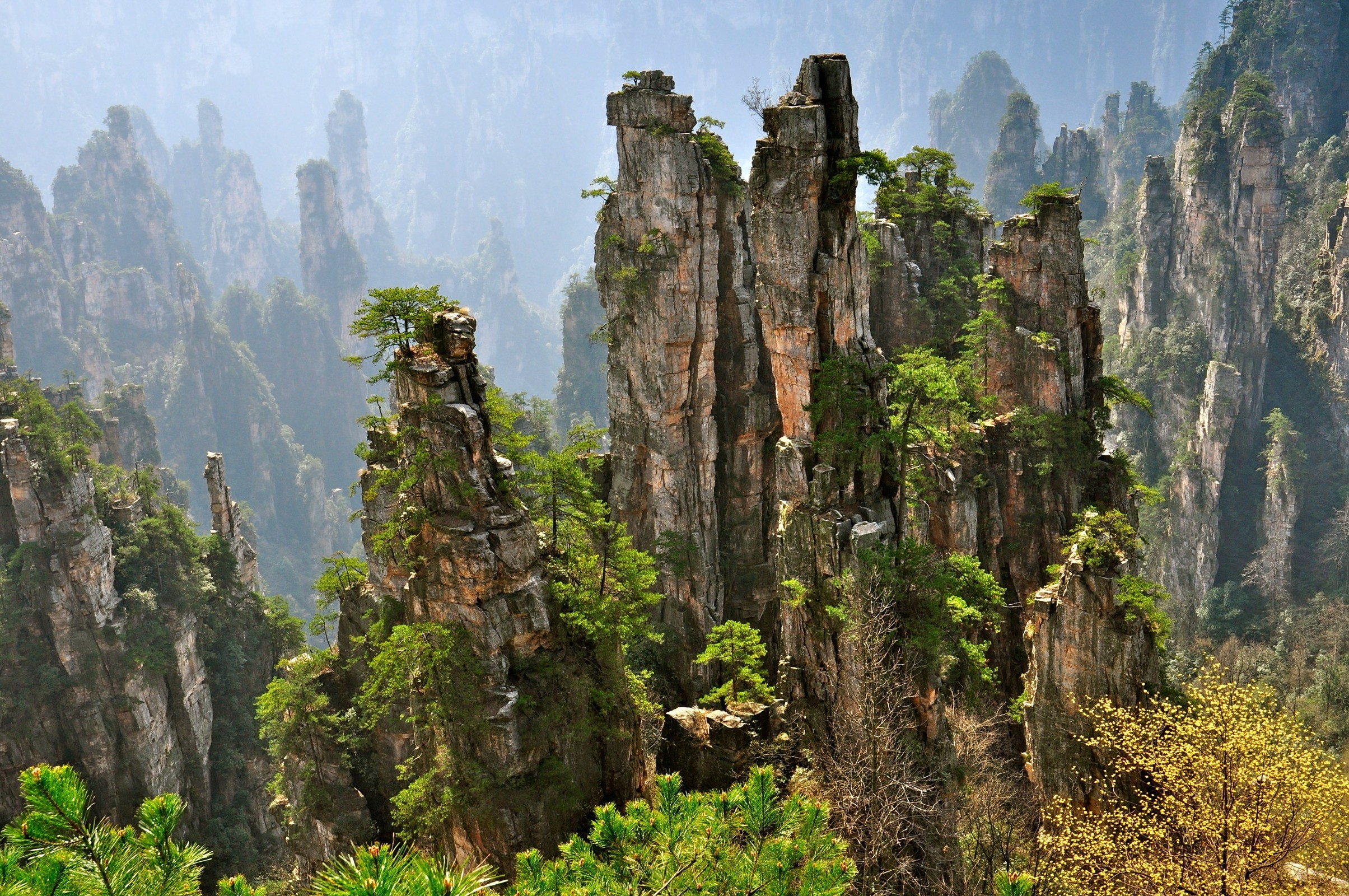 Zhangjiajie National Forest Park