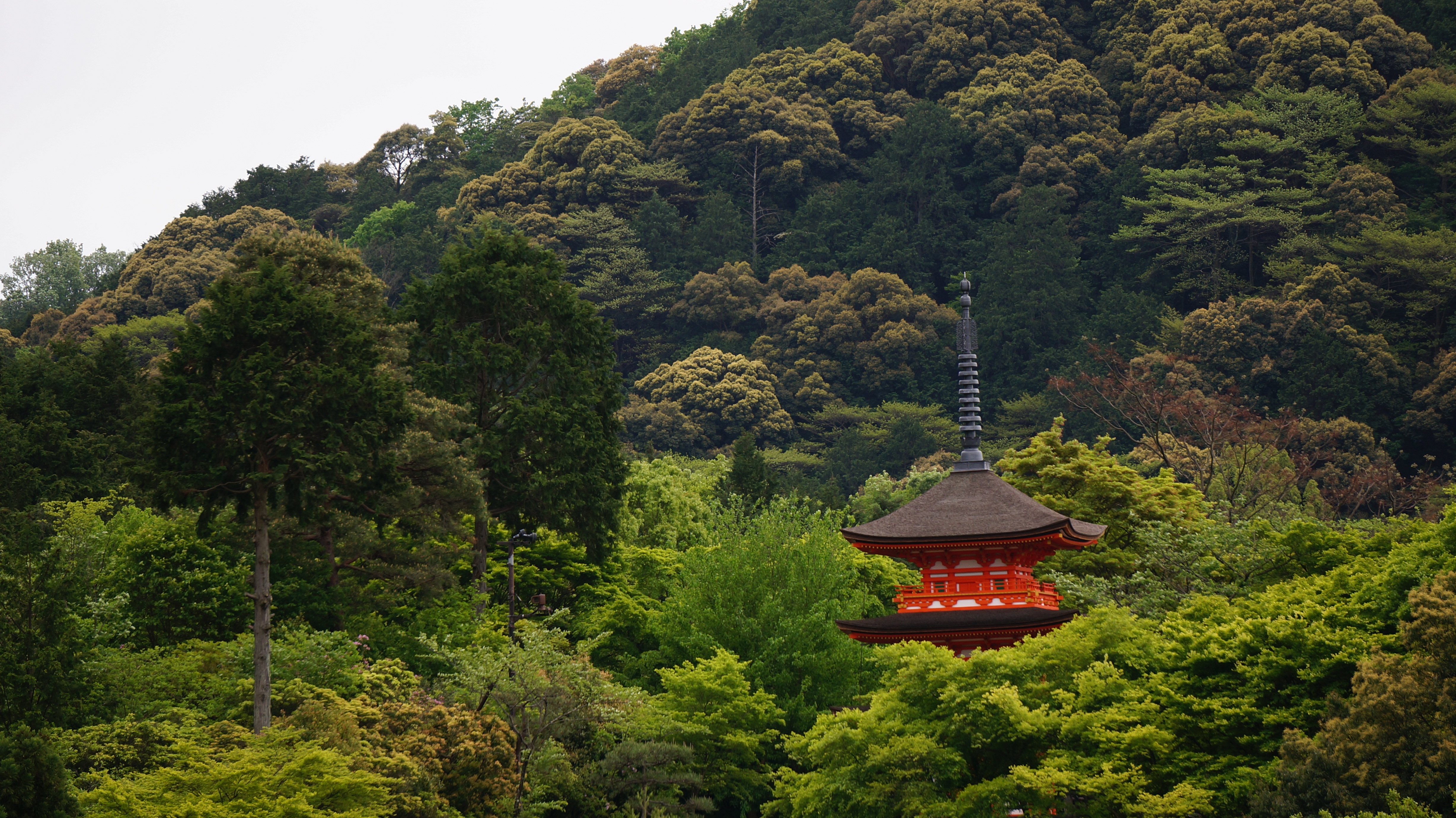 Free photo A lone red building in the forests of japan.