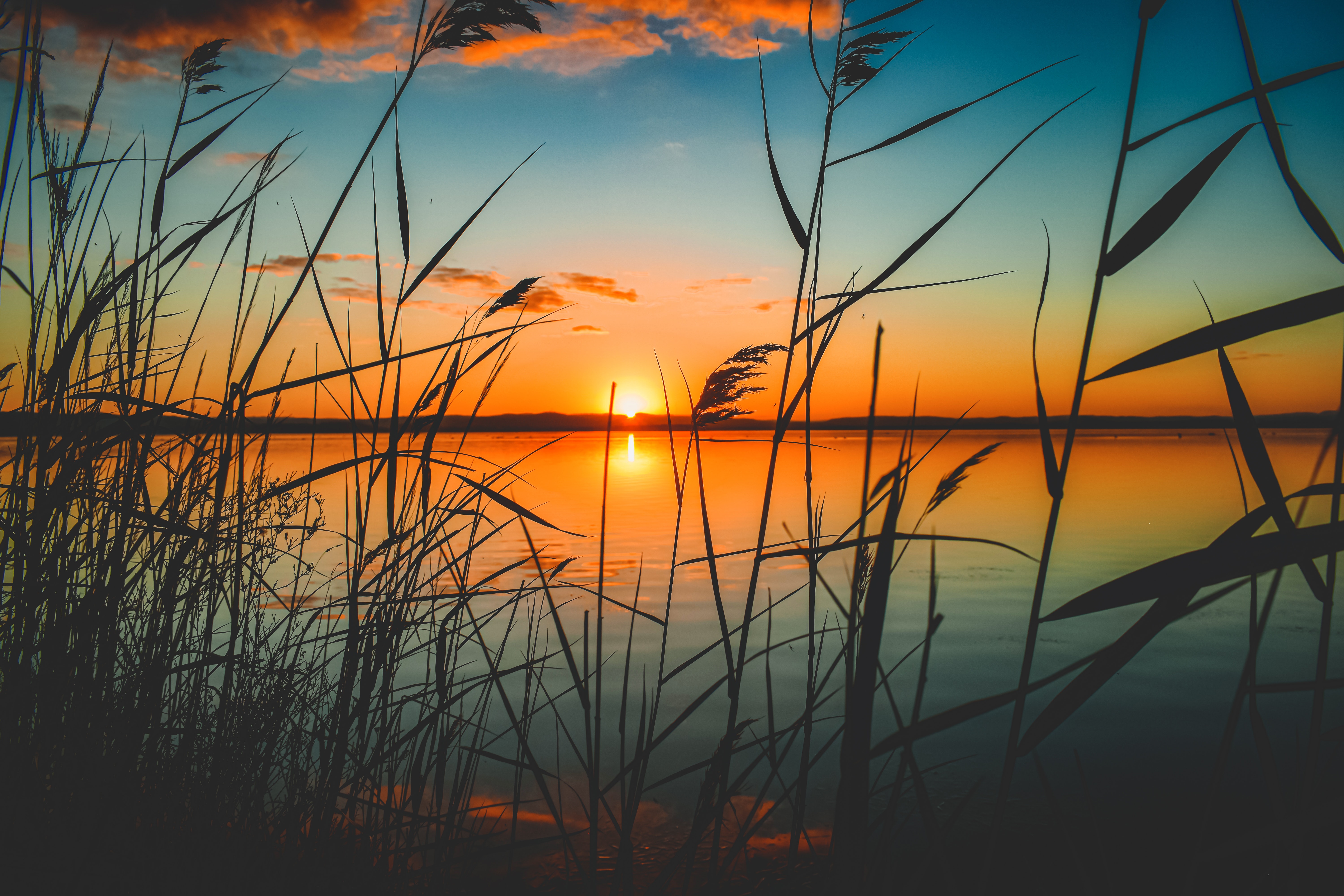 Free photo Sunset on the river
