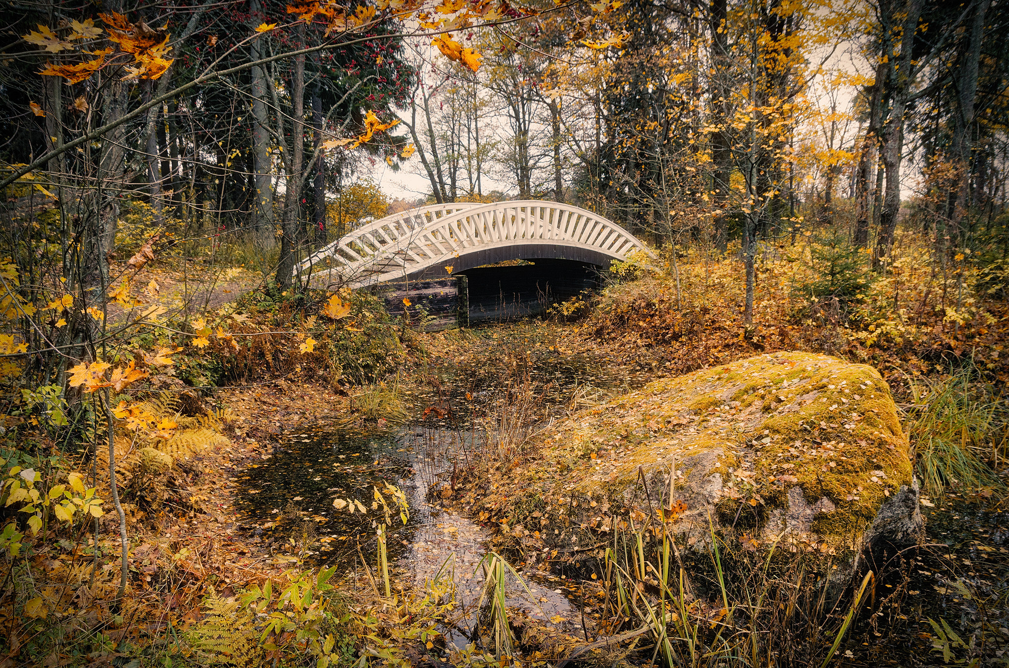 Wallpapers bridge Creek landscape on the desktop