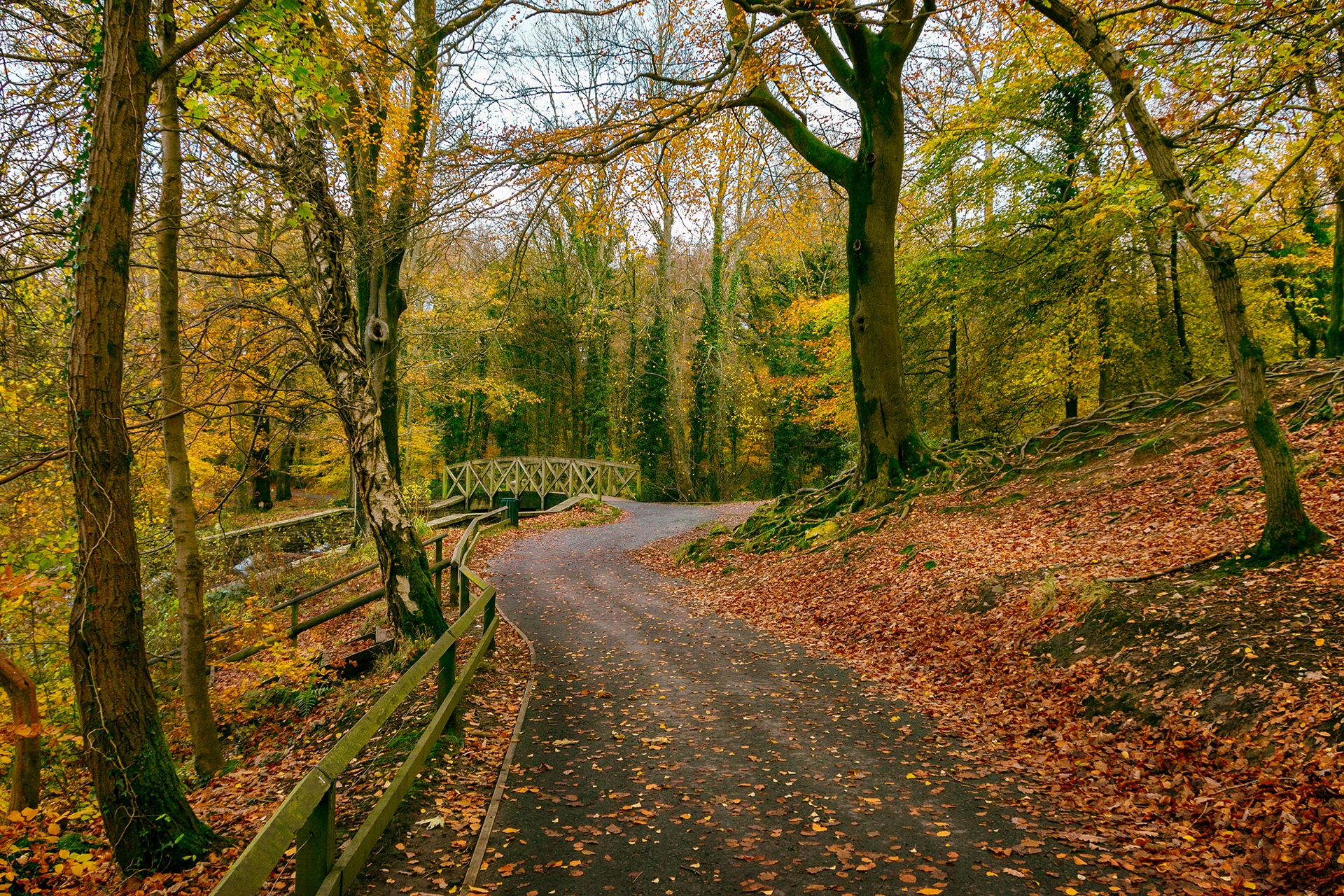 Обои Gnoll Estate Country Park Neath Южный Уэльс осень на рабочий стол