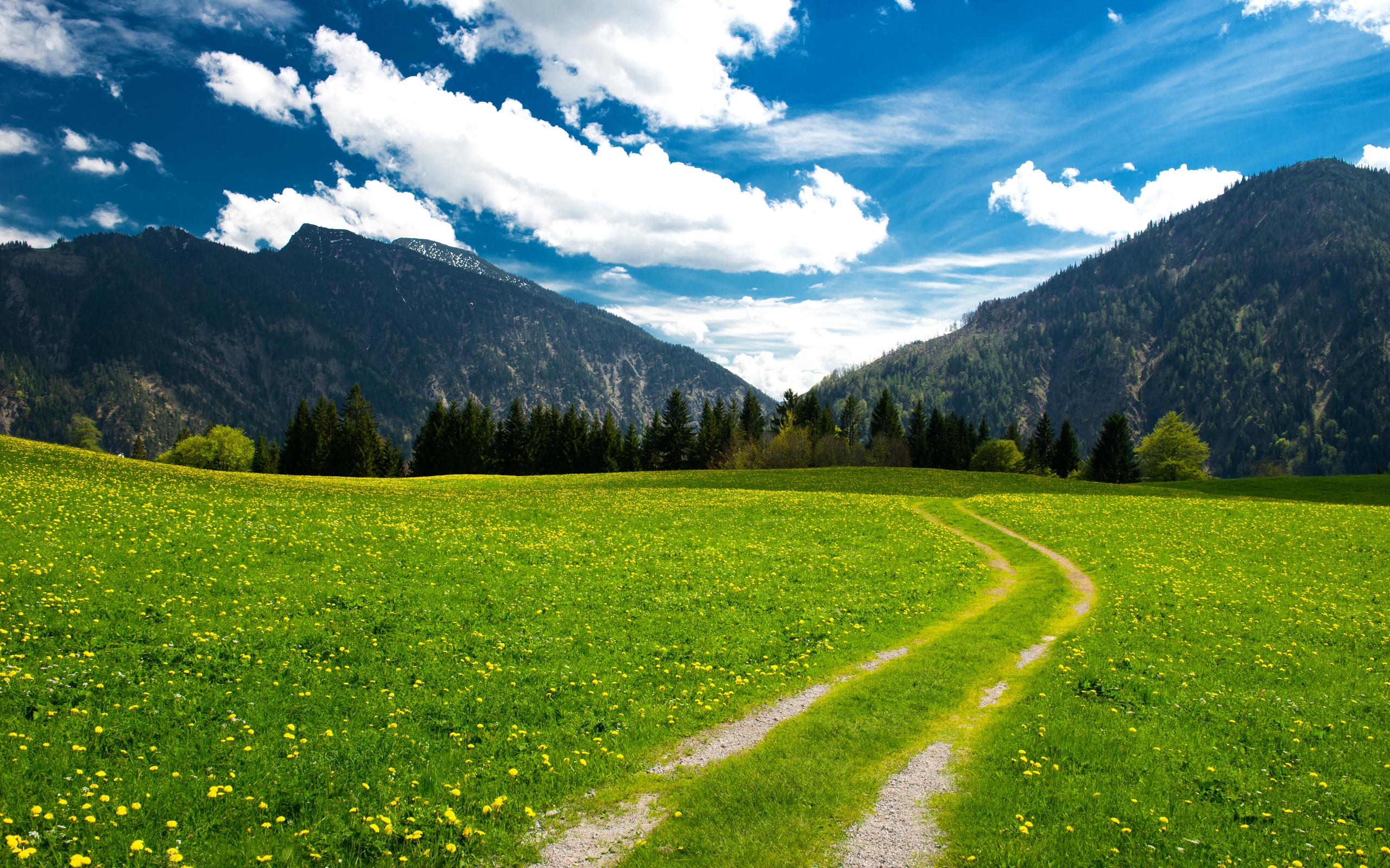 Wallpapers grass mountains trees on the desktop