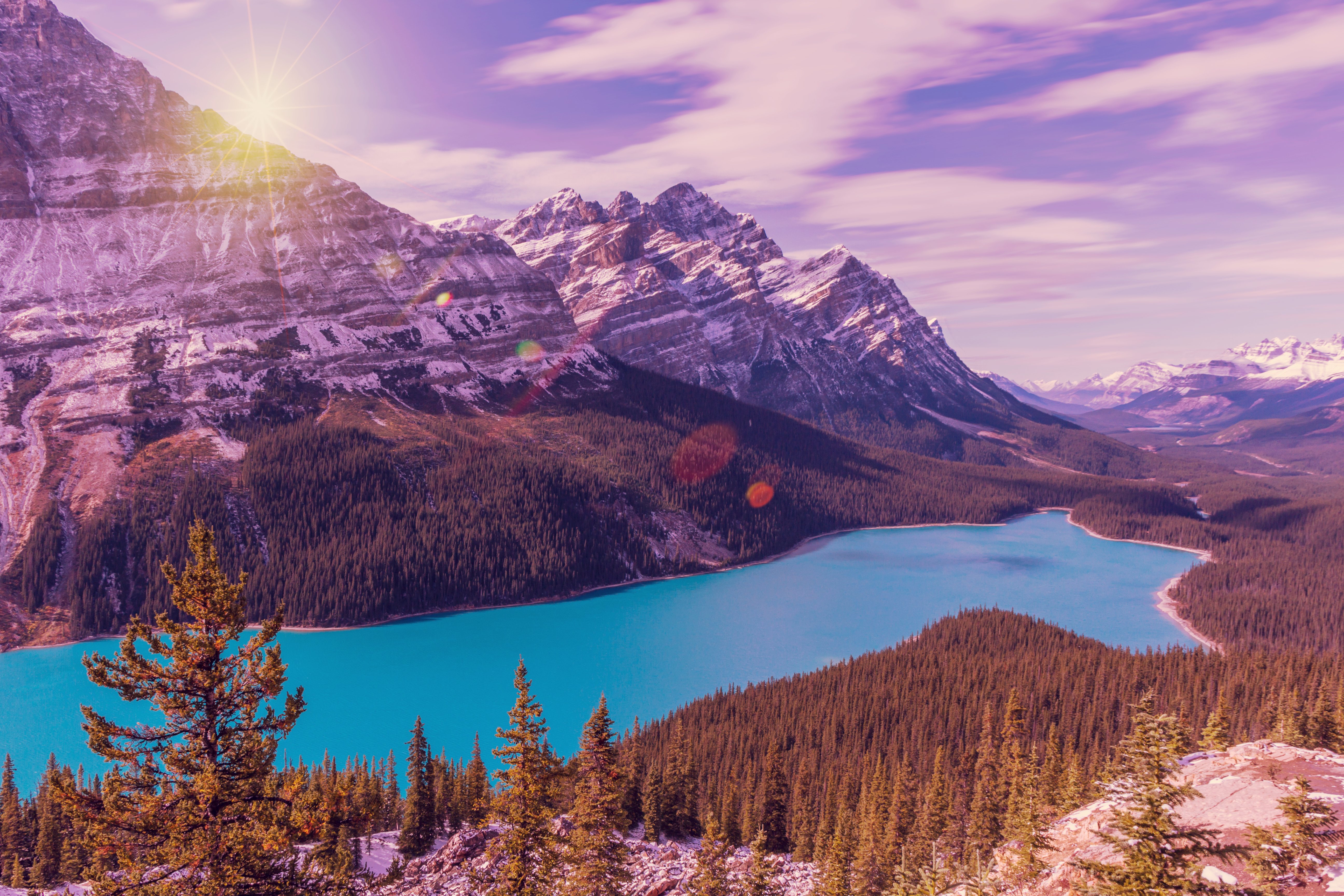 Wallpapers forest Banff national Park rocks on the desktop