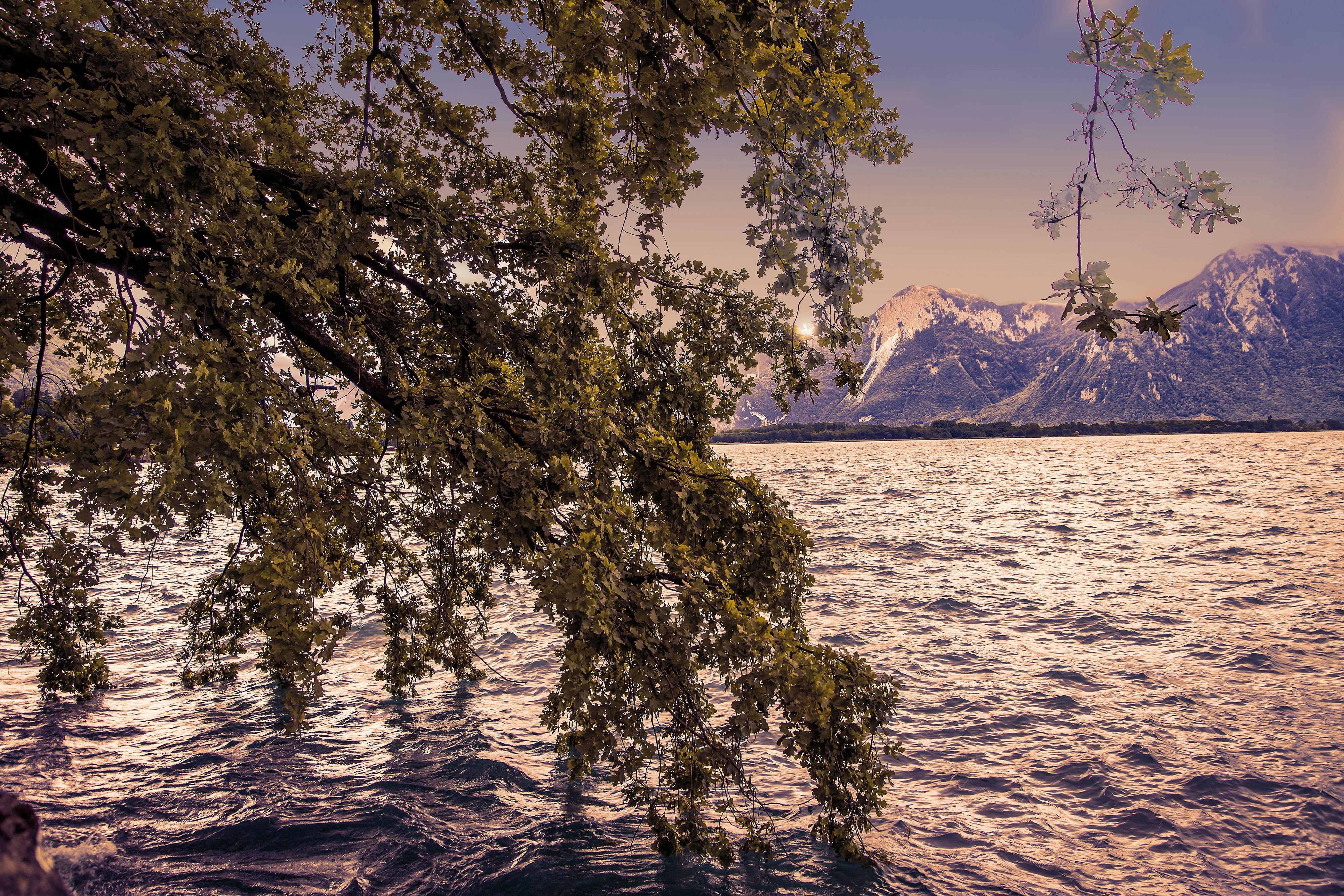 Free photo Free screensaver switzerland, geneve lake