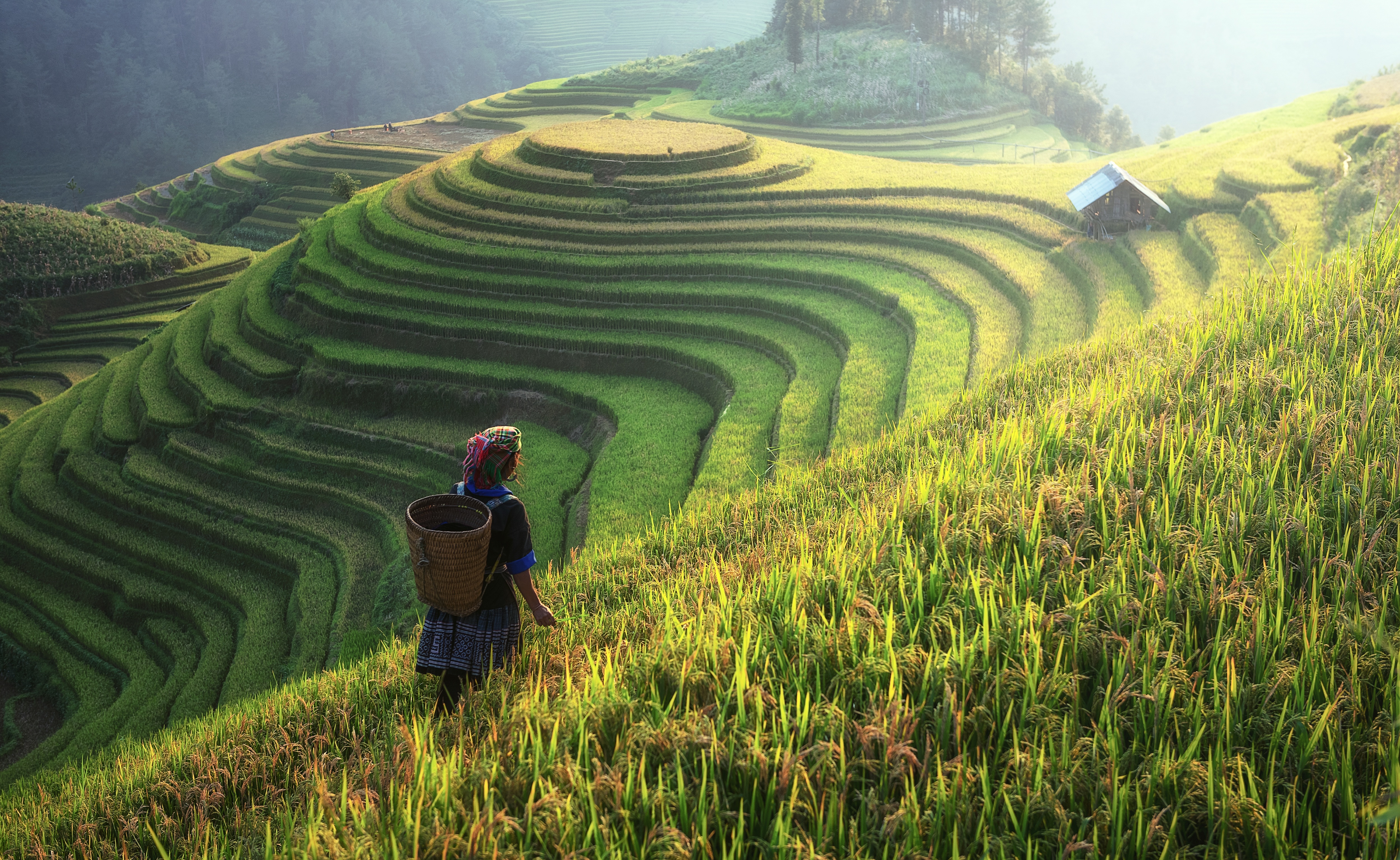 桌面上的壁纸山丘 地貌 云层