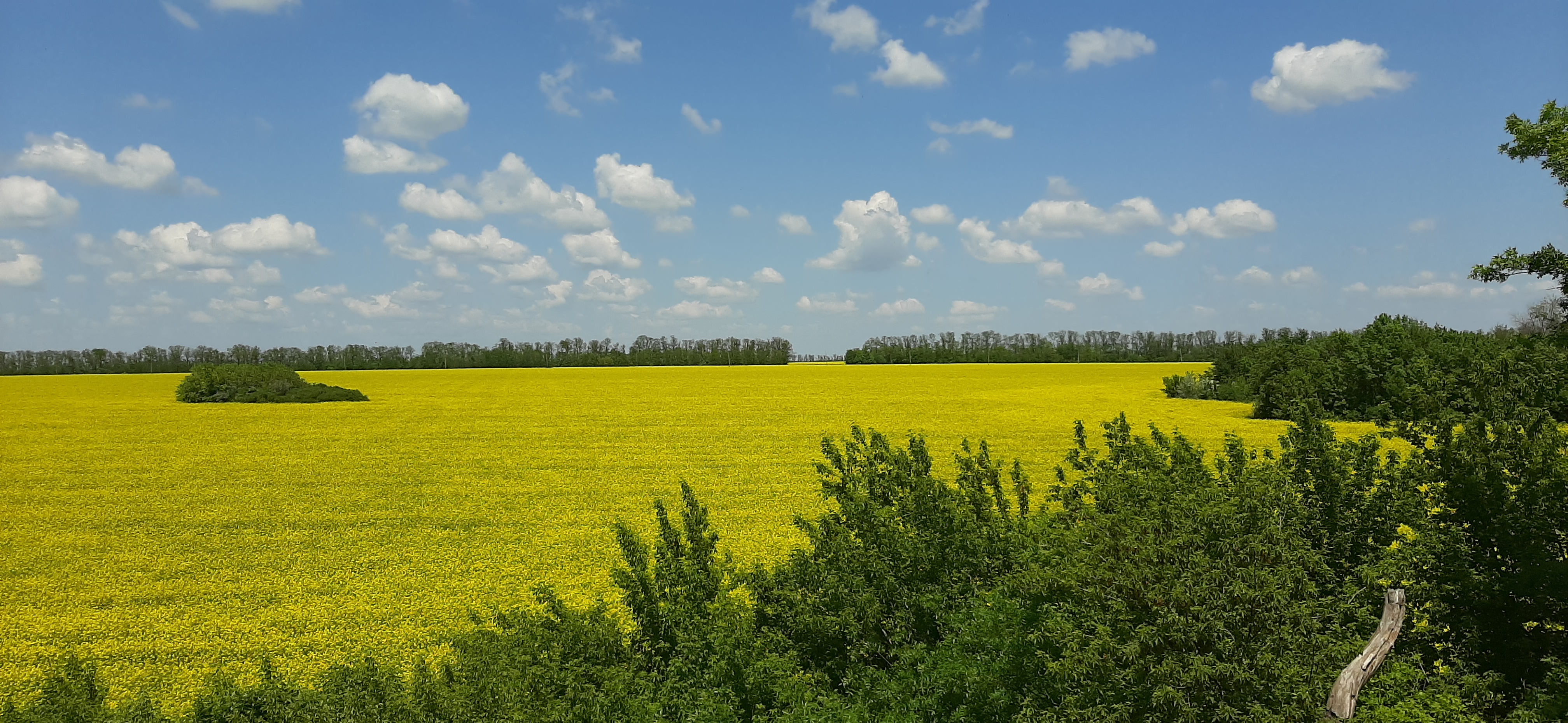 Free photo Late spring fields