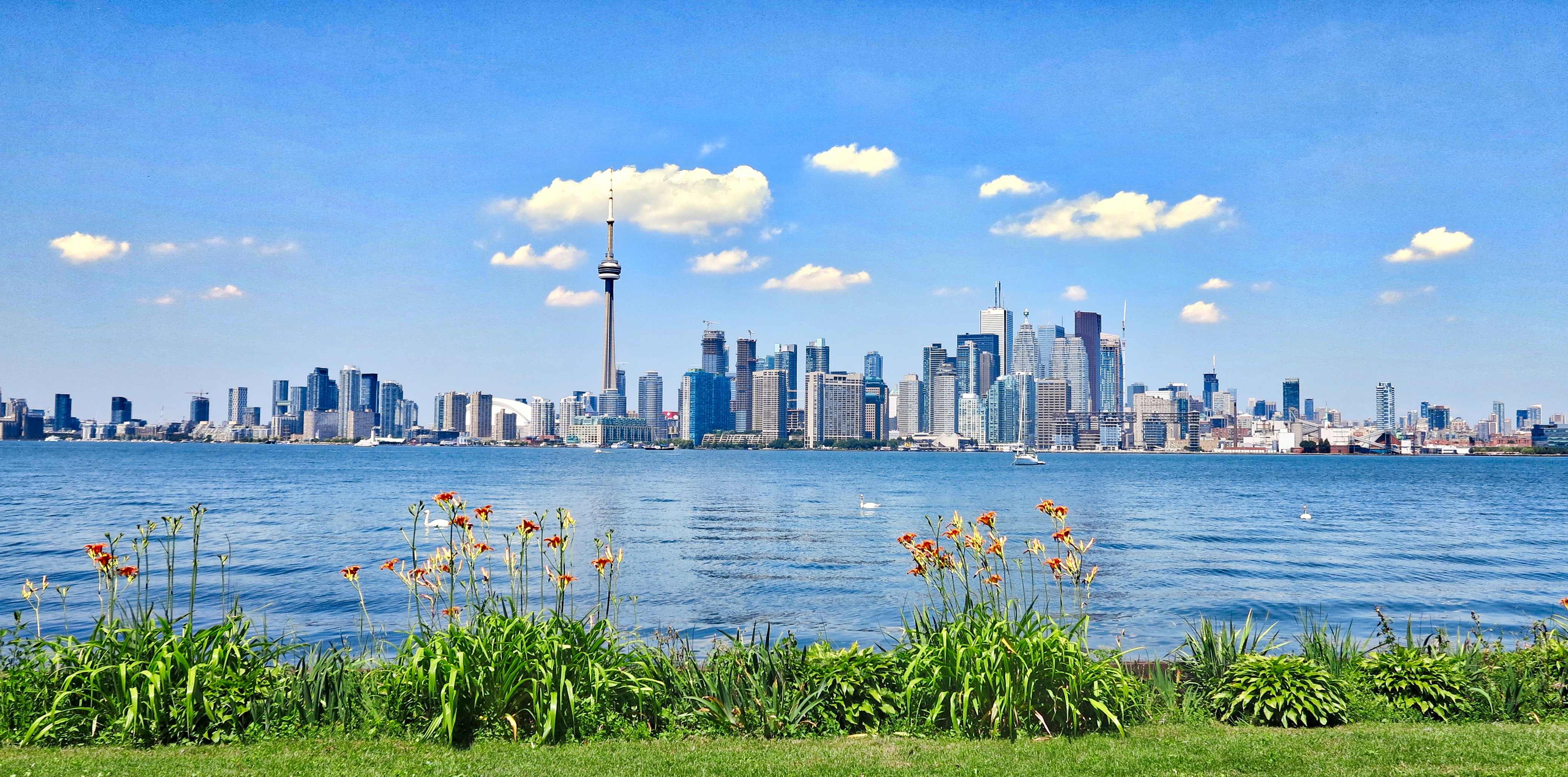 Wallpapers Toronto city landscape on the desktop