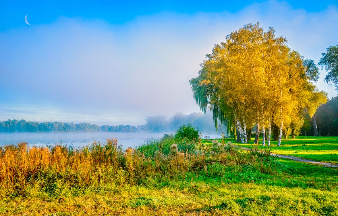 Обои осень озеро тропинка на рабочий стол