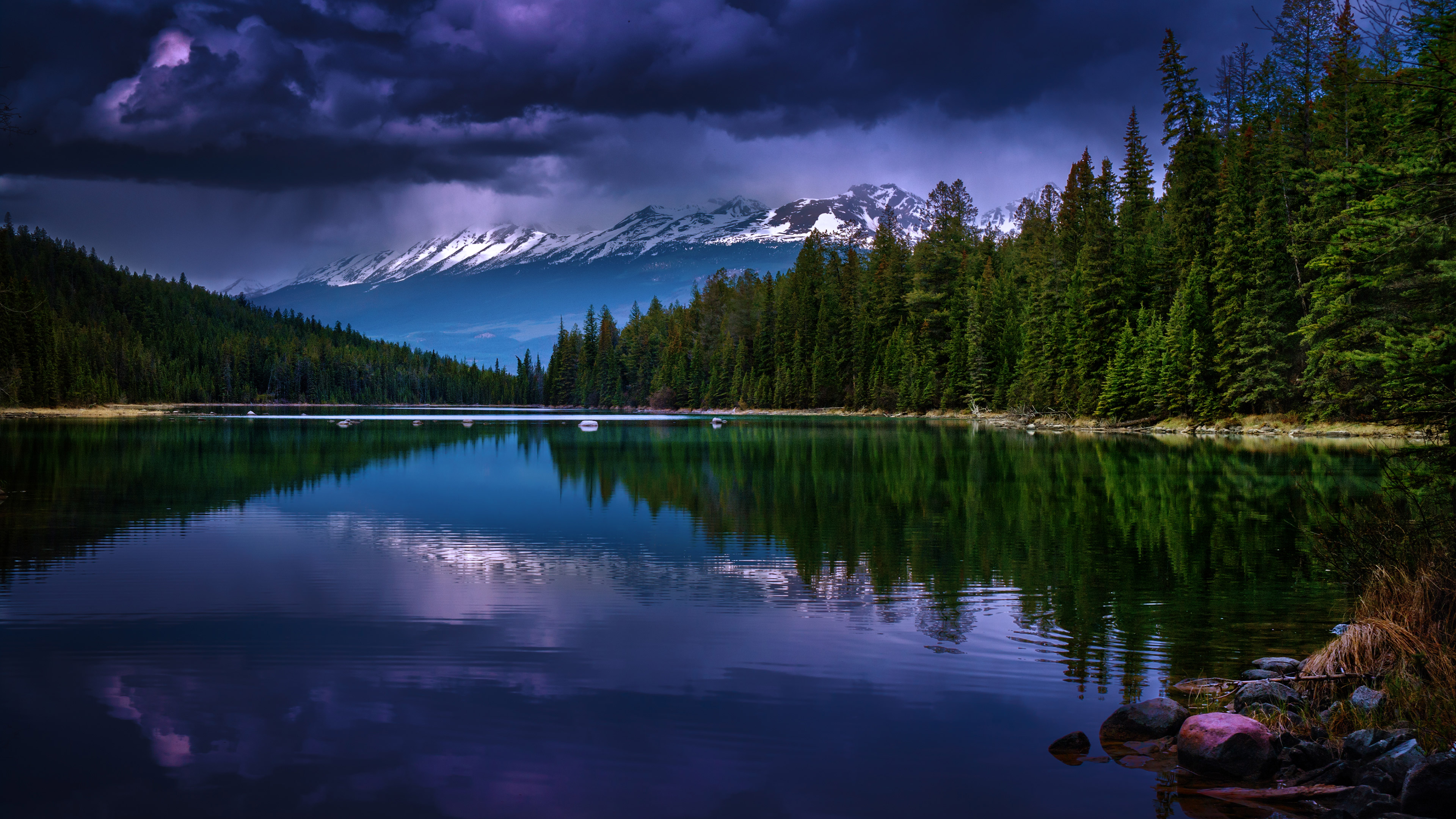 Free photo Summer lake with a reflection of the sky and trees