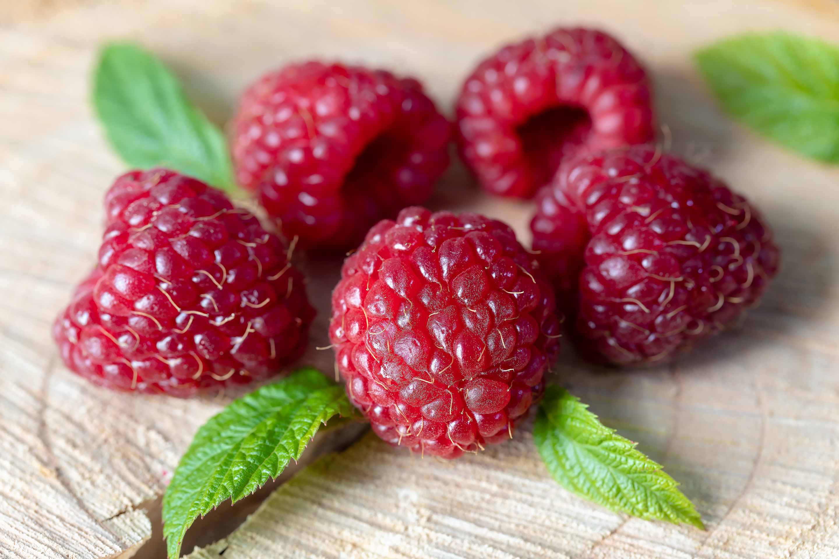 免费照片木质背景上的红色覆盆子宏图