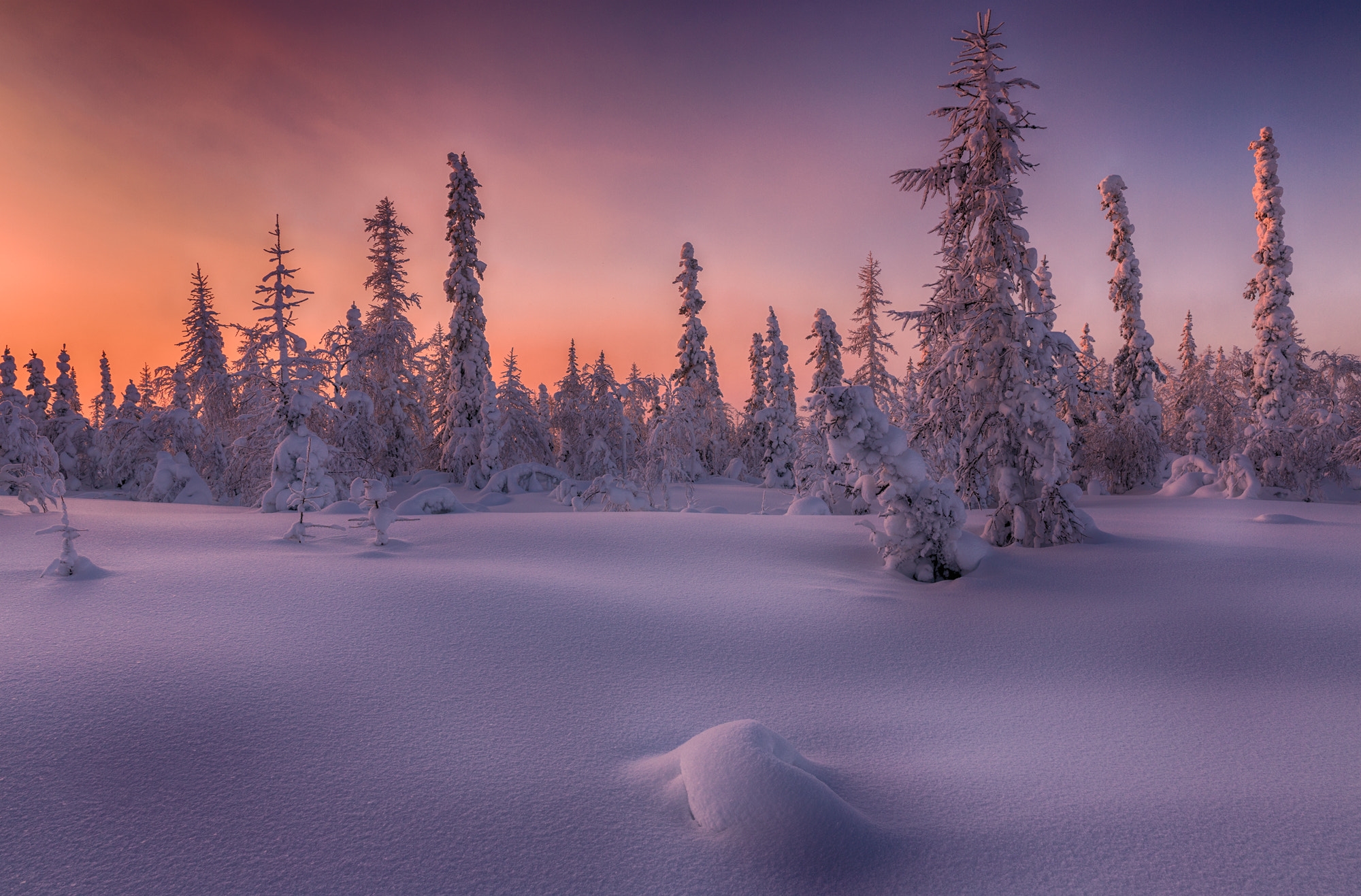 Free photo Tundra natural area