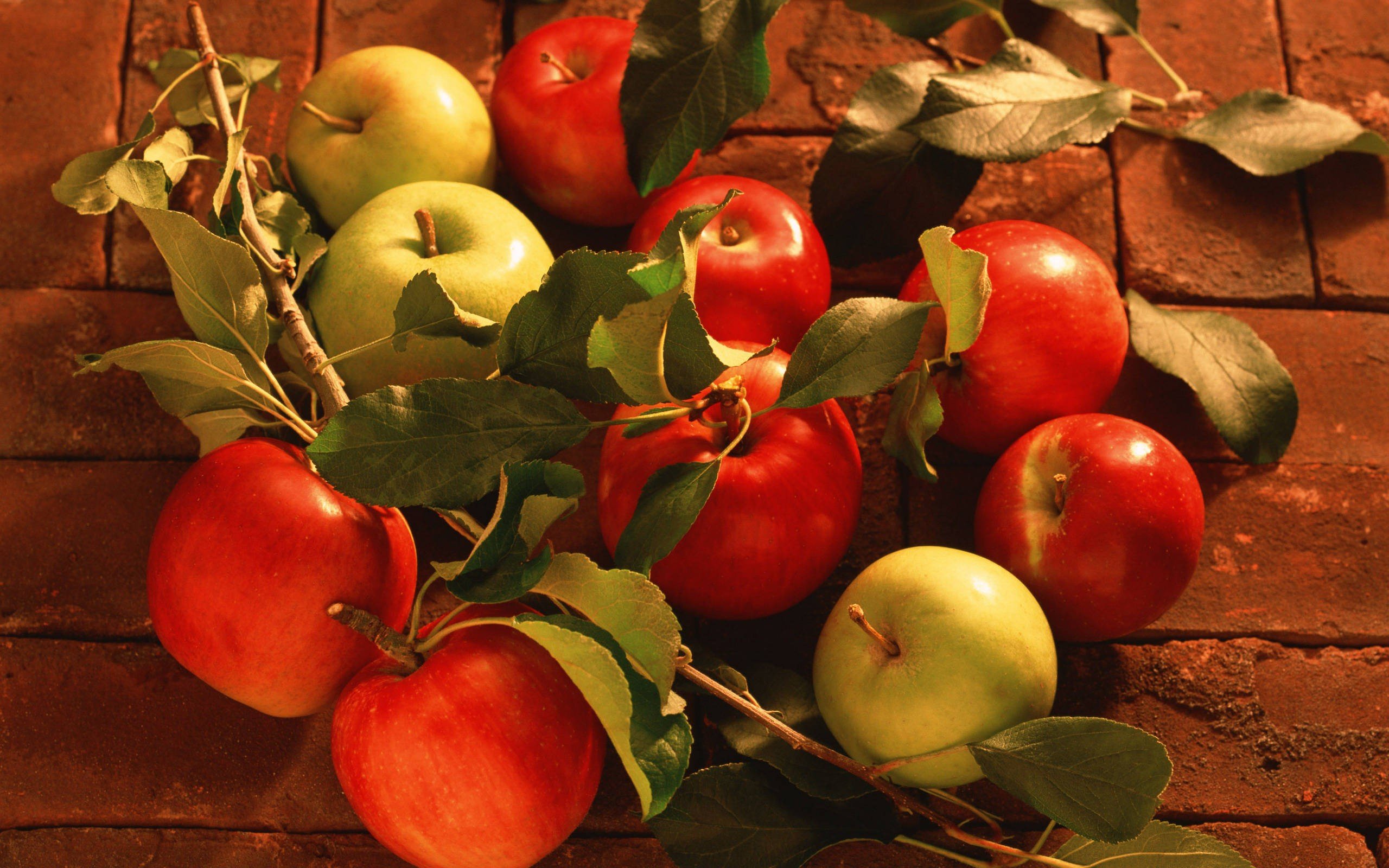 Wallpapers apples leaves food on the desktop