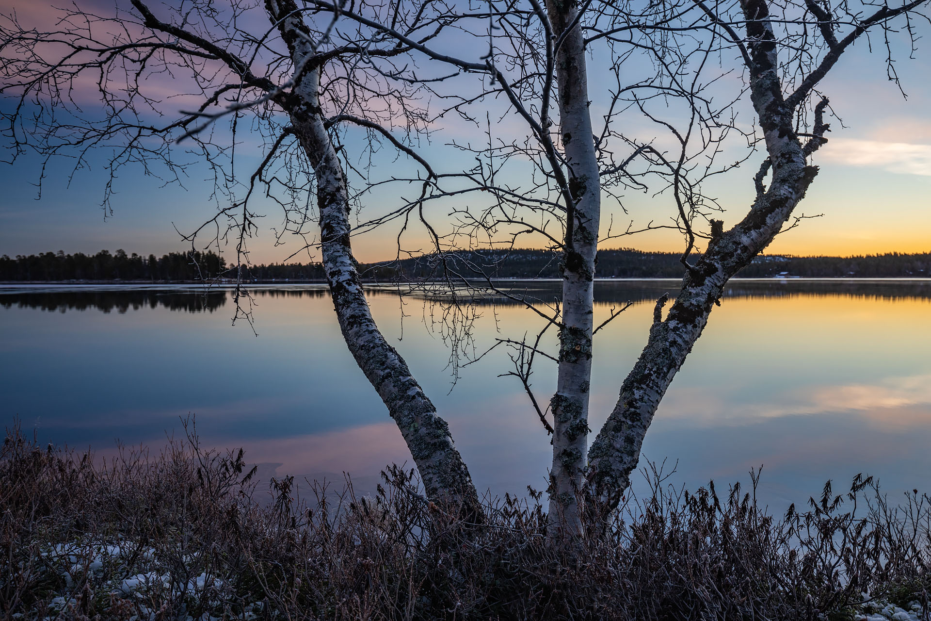 Wallpapers Finland trees landscape on the desktop