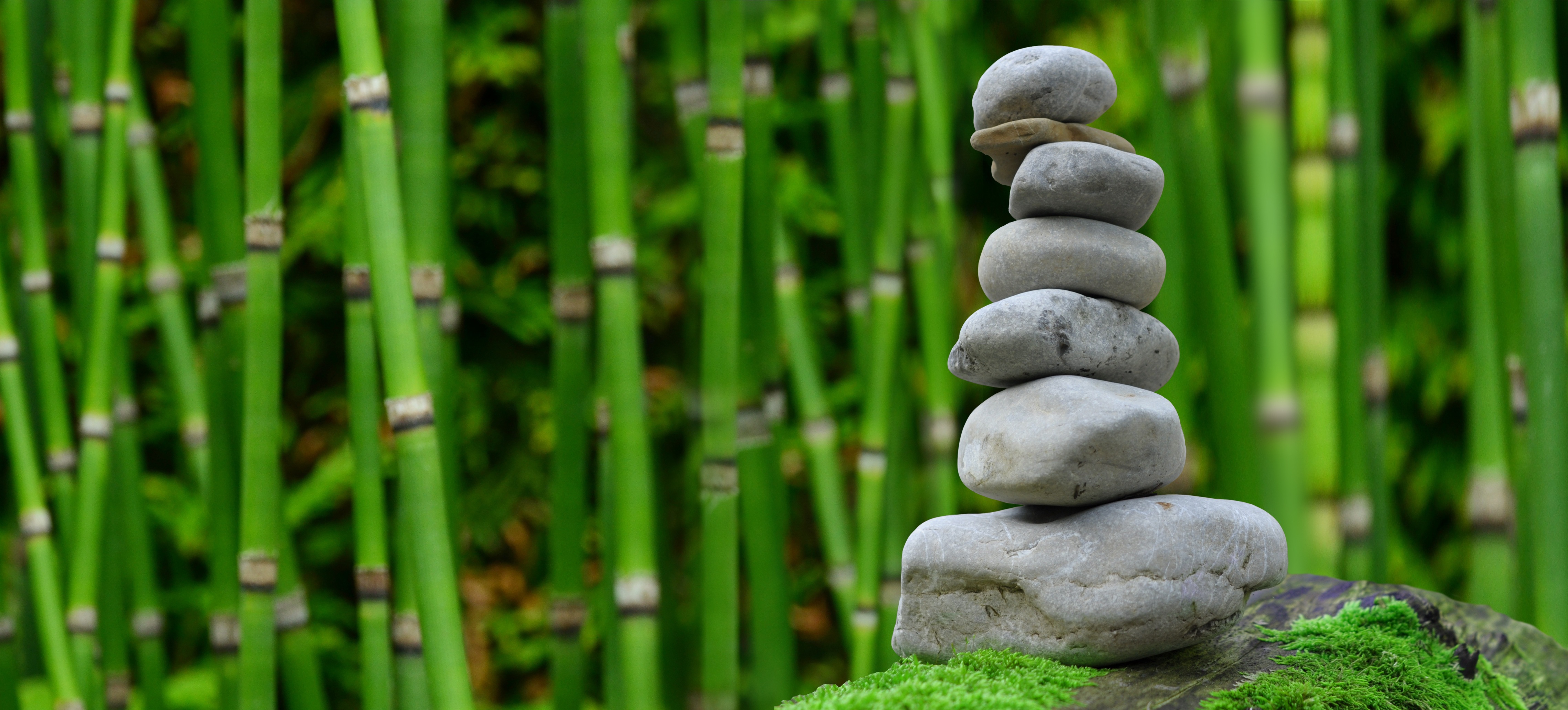 Wallpapers bamboo zen stones stones on the desktop