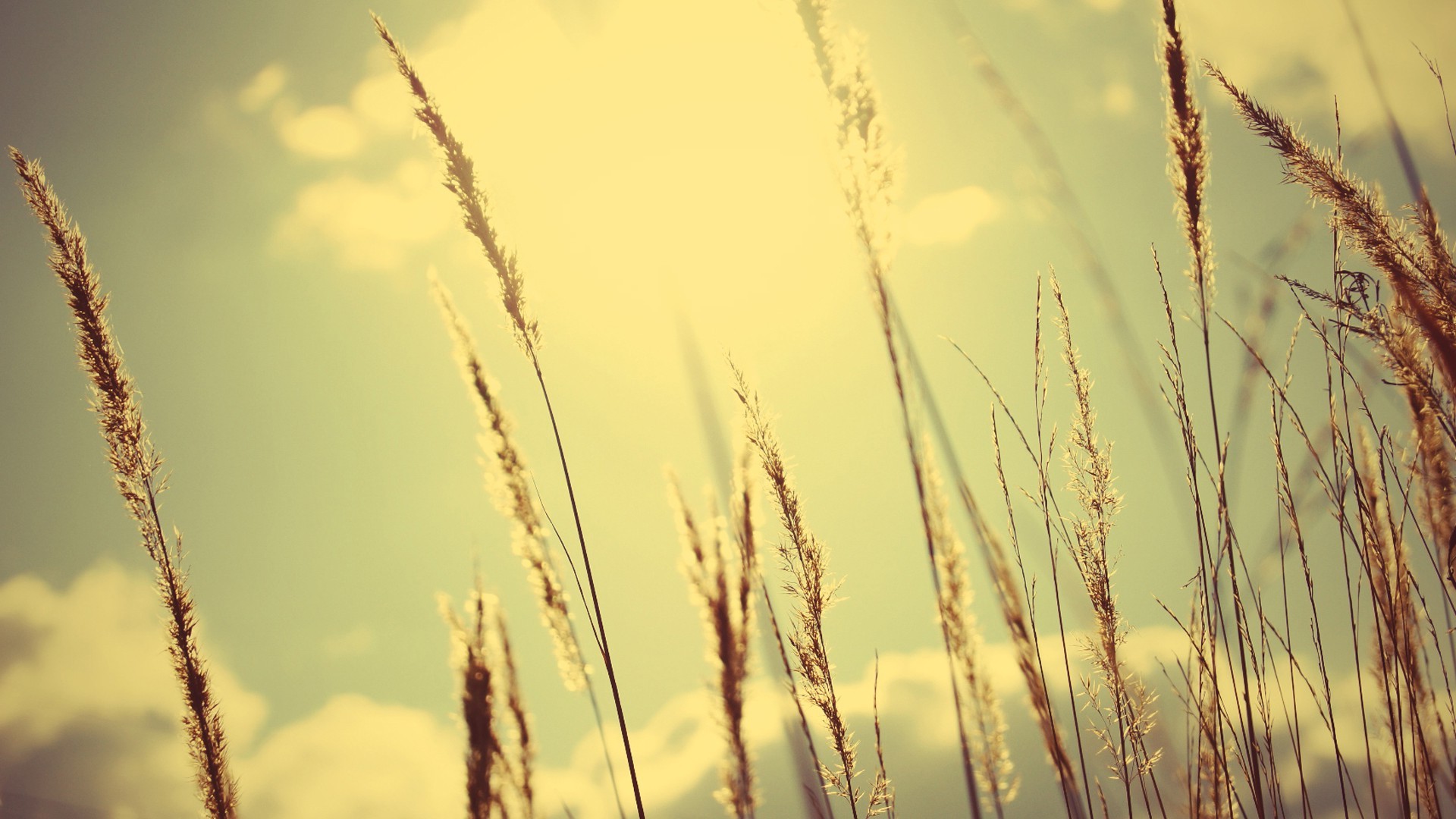 Обои природа обои на рабочий стол