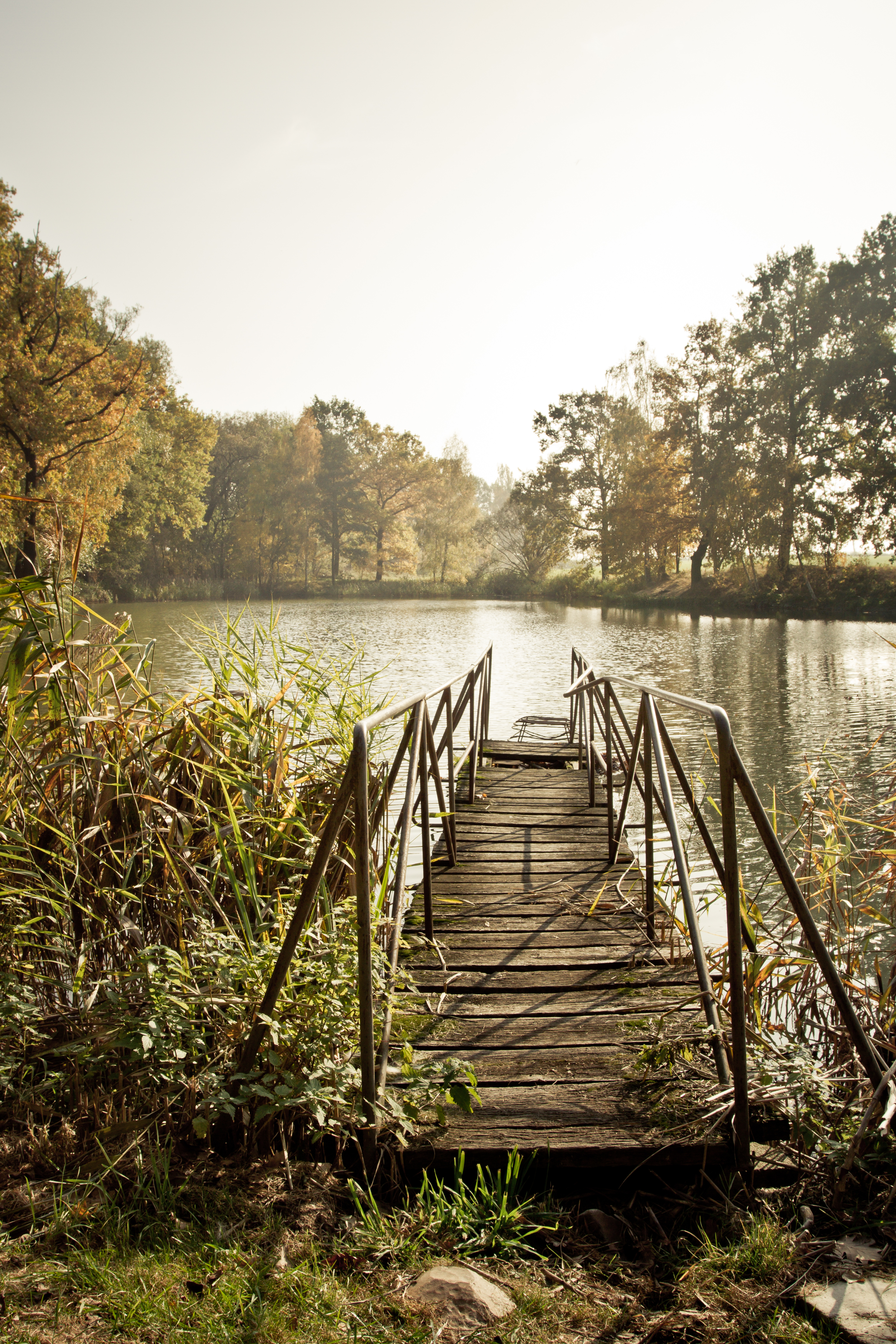 免费照片小湖边的一座木桥