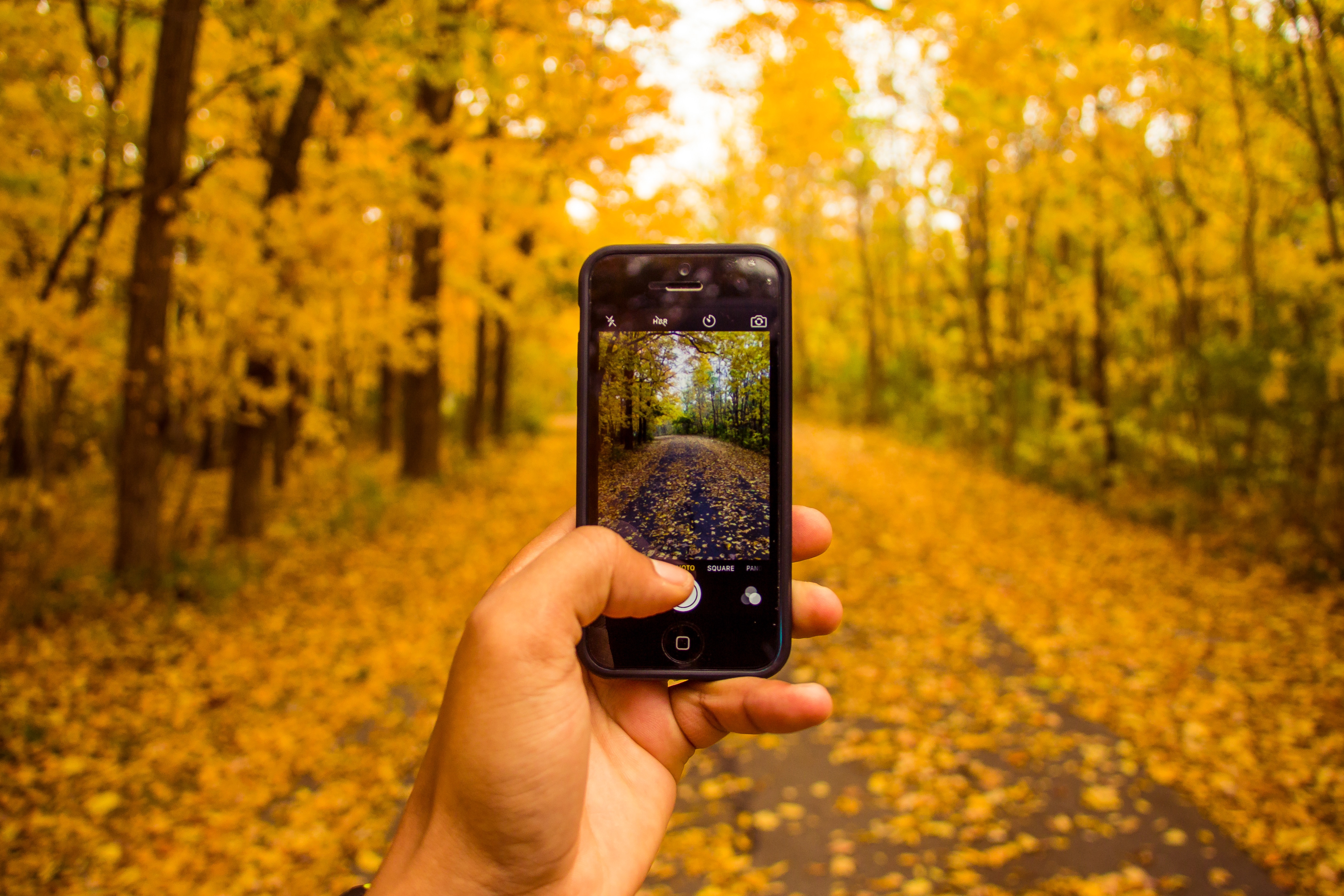 Бесплатное фото Снимаю на Iphone осенний листопад