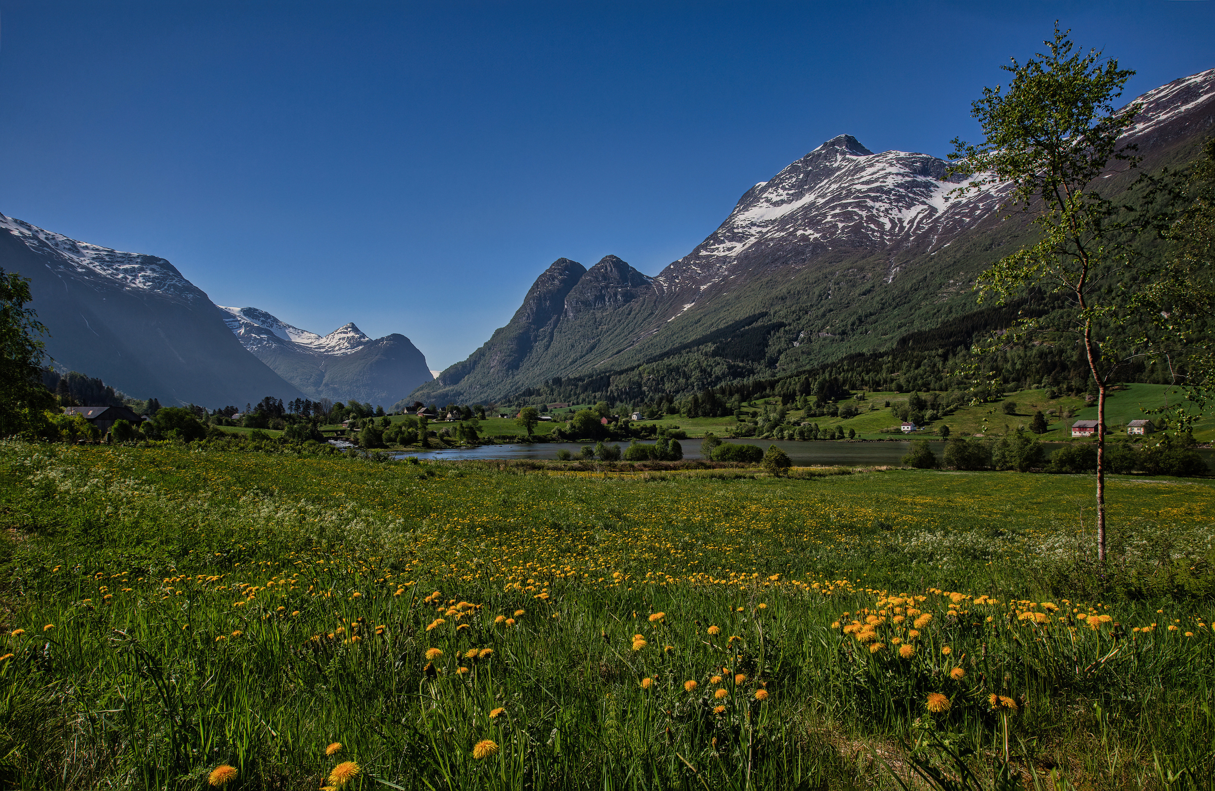 Wallpapers scenery grasslands landscape meadow on the desktop