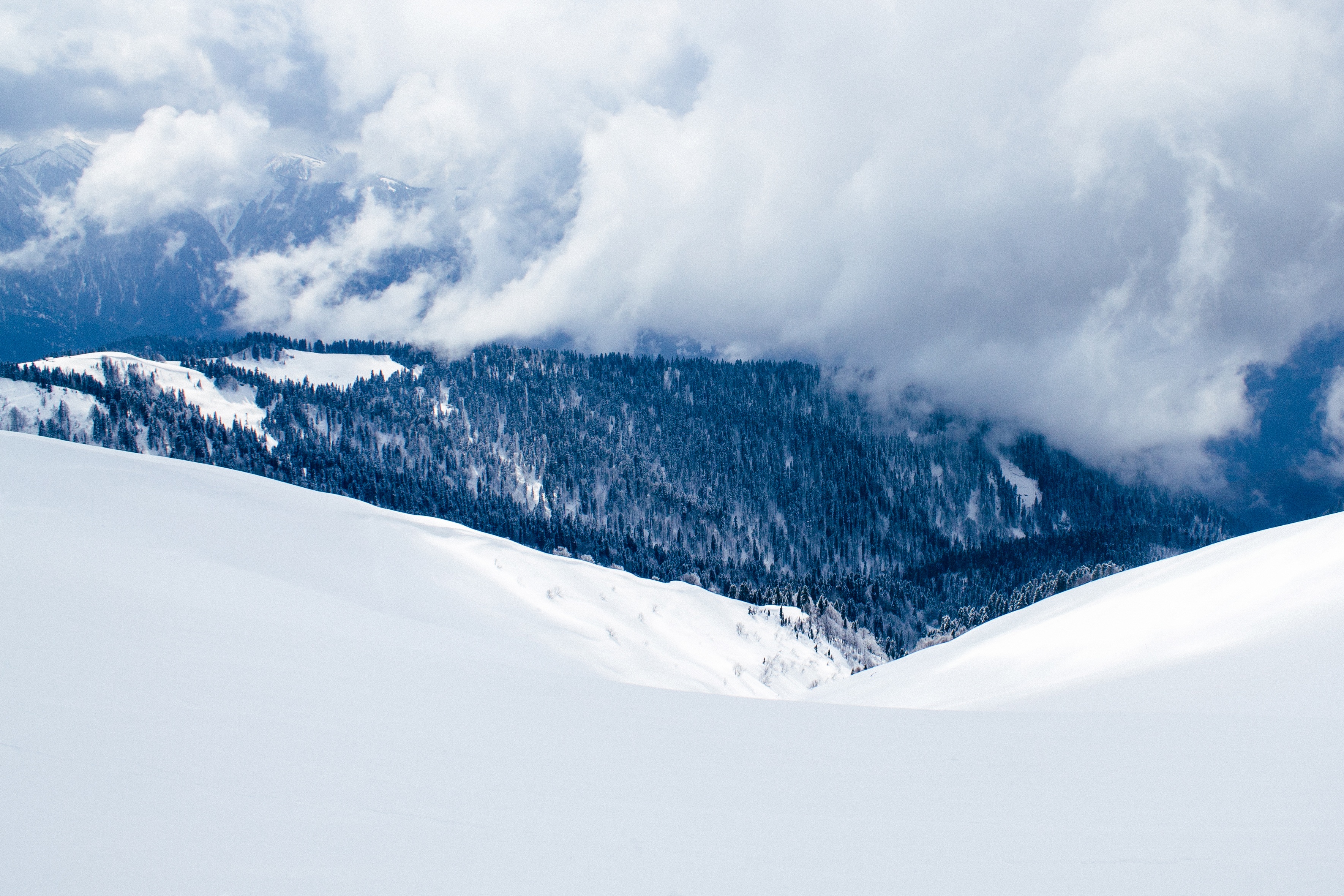 桌面上的壁纸木材 山区 雪