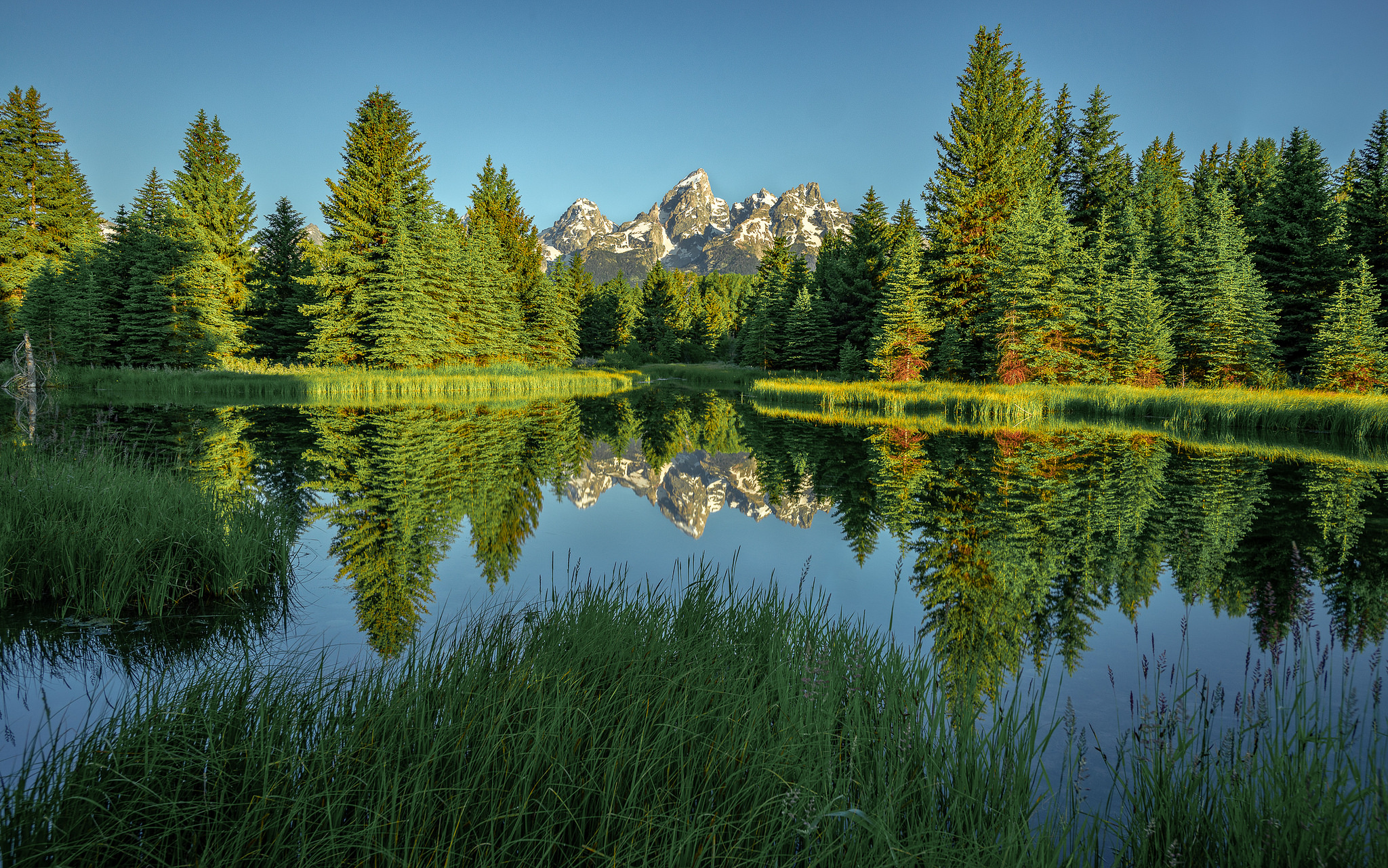 Wallpapers National Park Grand Teton State of Wyoming lake on the desktop