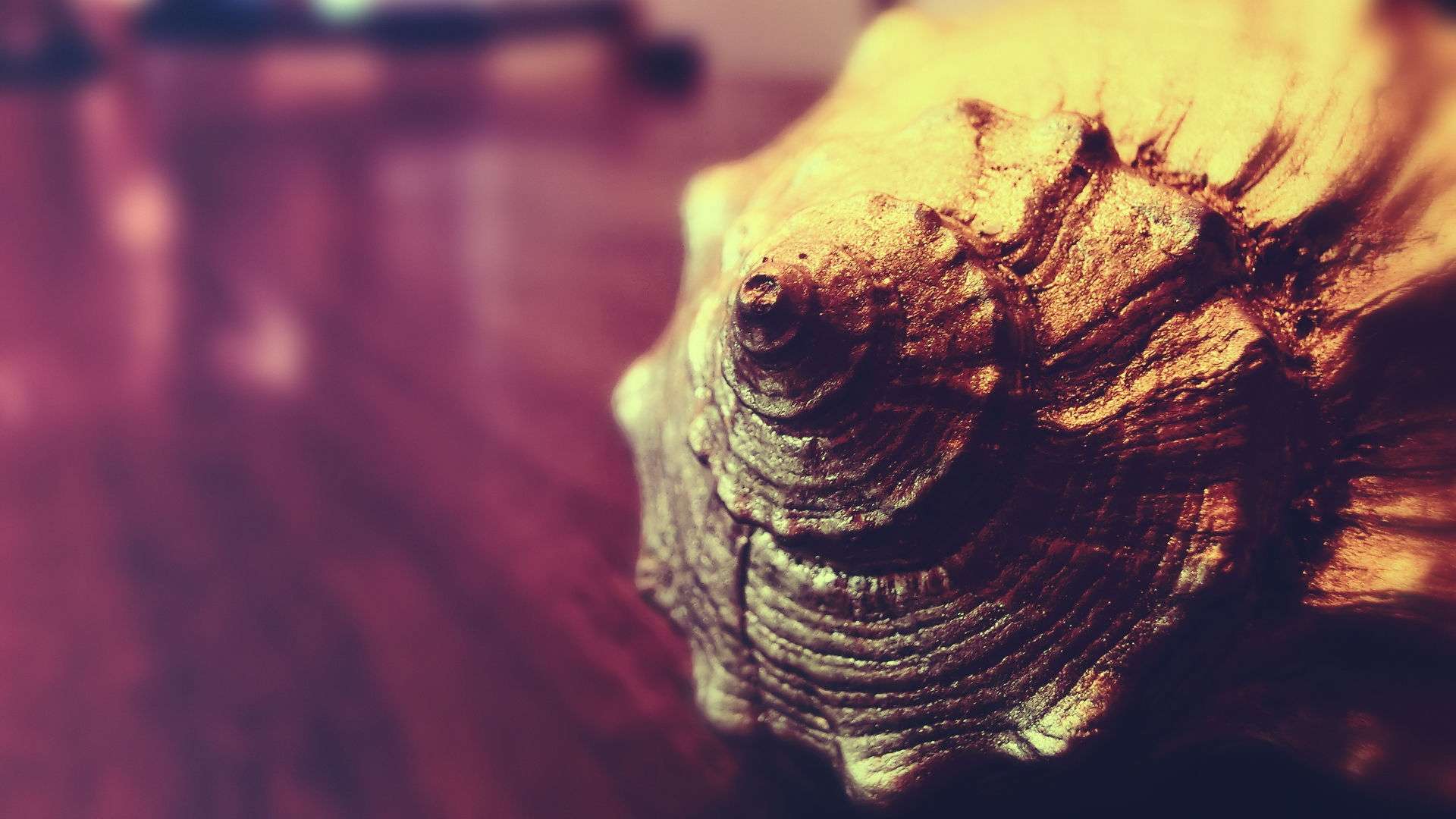 桌面上的壁纸外壳 折弯 漩涡