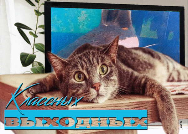 Открытка на тему классных выходных напитки скачать бесплатно