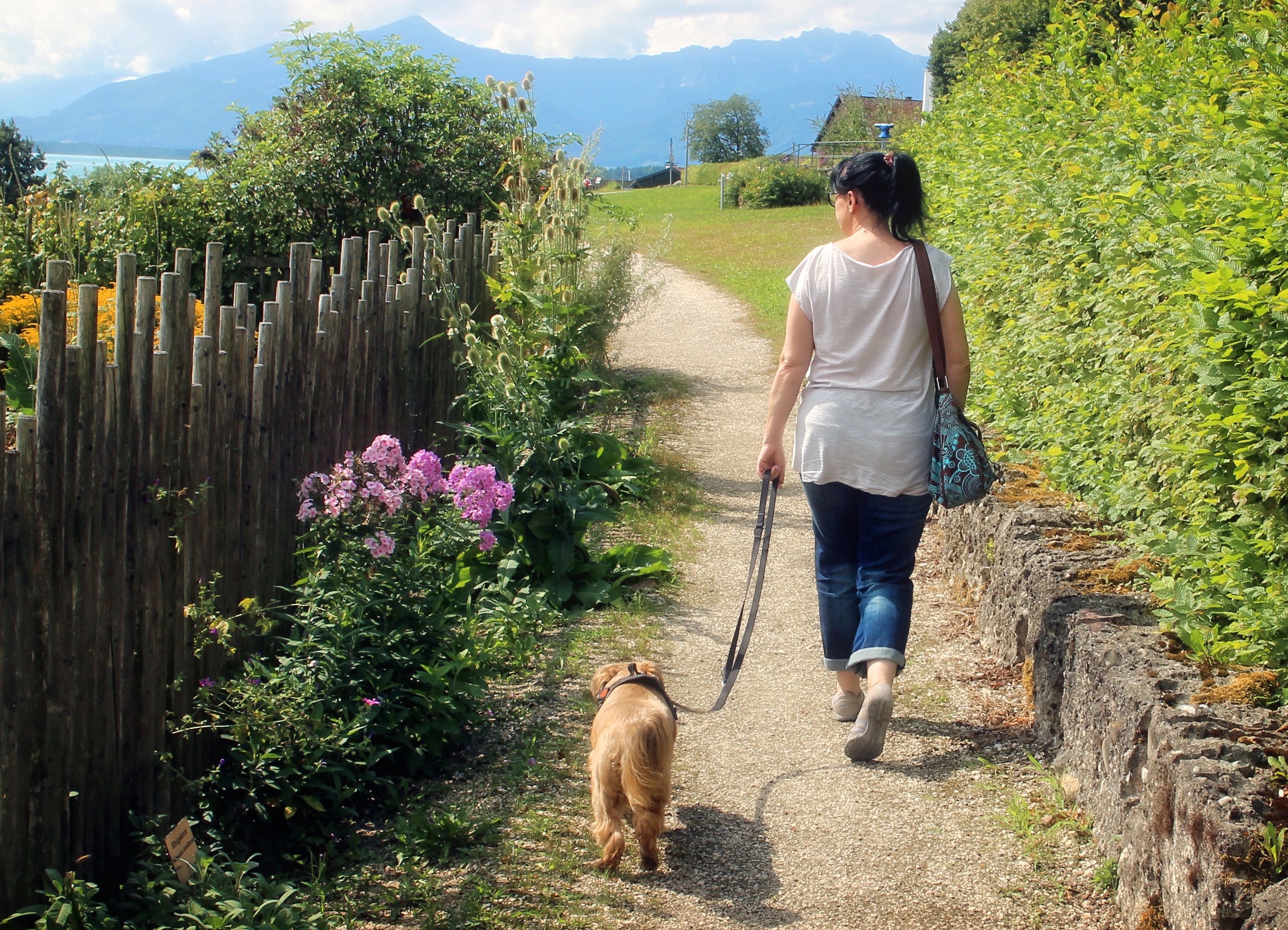 Wallpapers nature walking person on the desktop