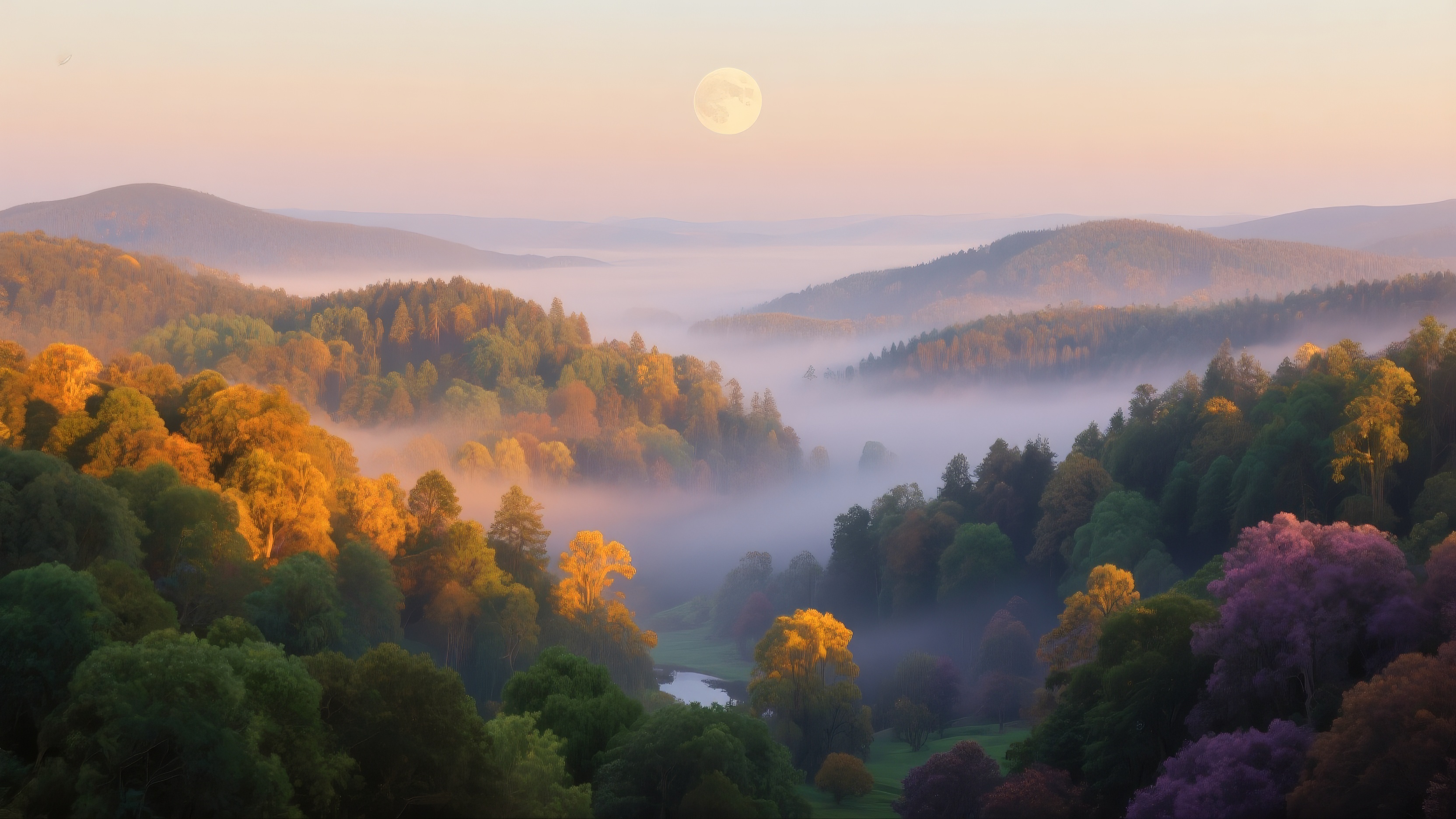 Бесплатное фото Туманный, разноцветный лес с деревьями на переднем плане