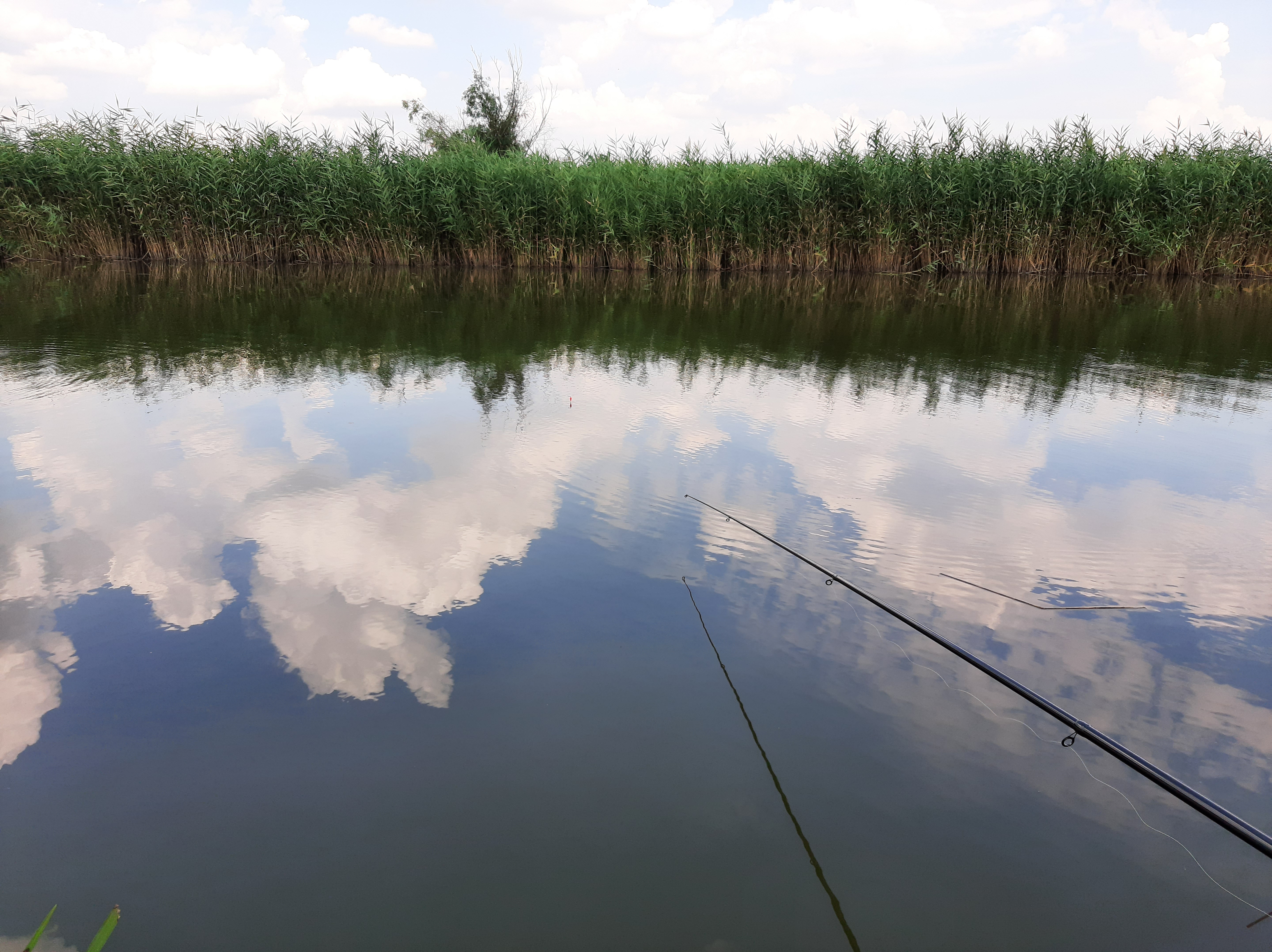 在安静的河流中钓鱼，反射着云彩