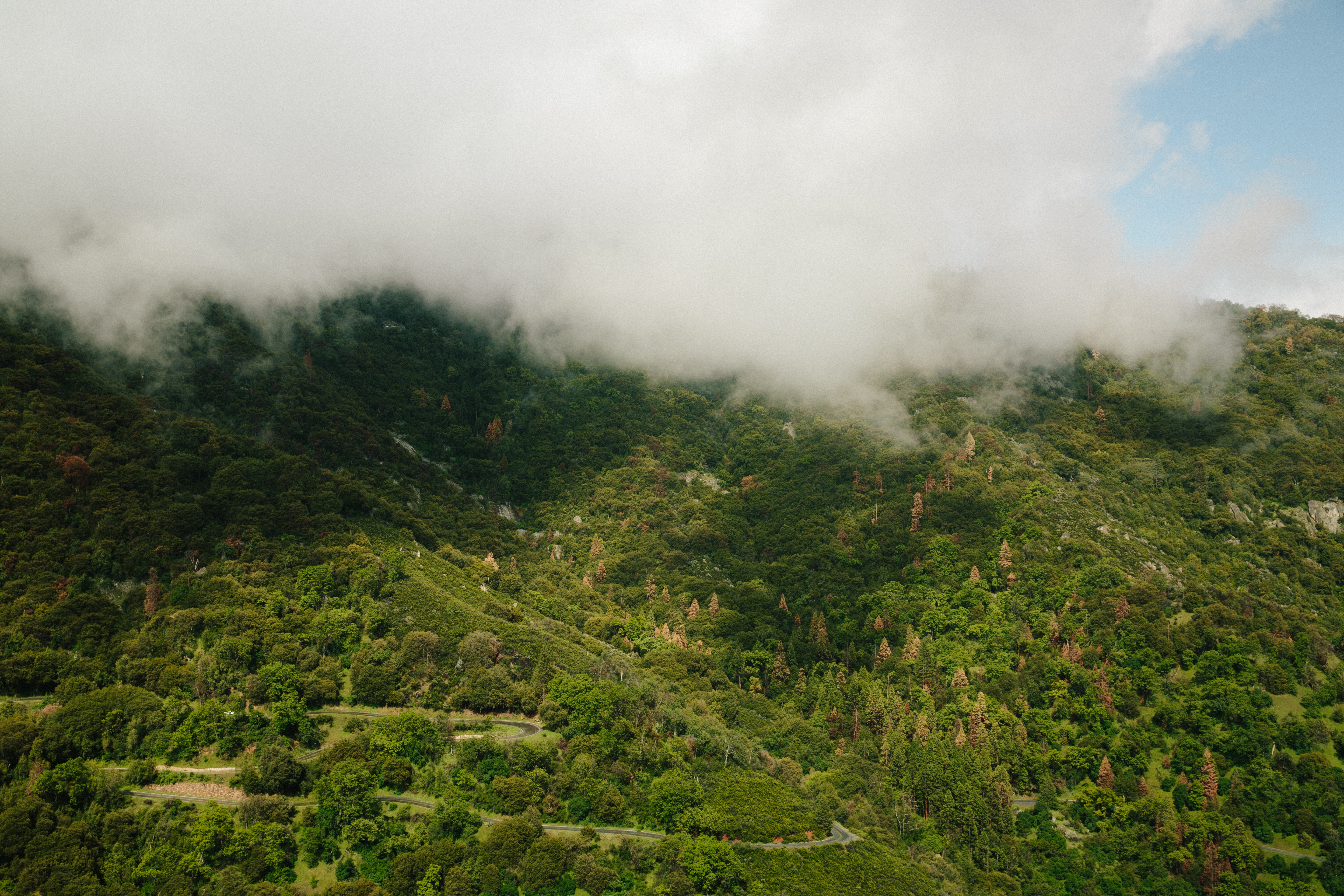 Free photo Green hills shrouded in mist