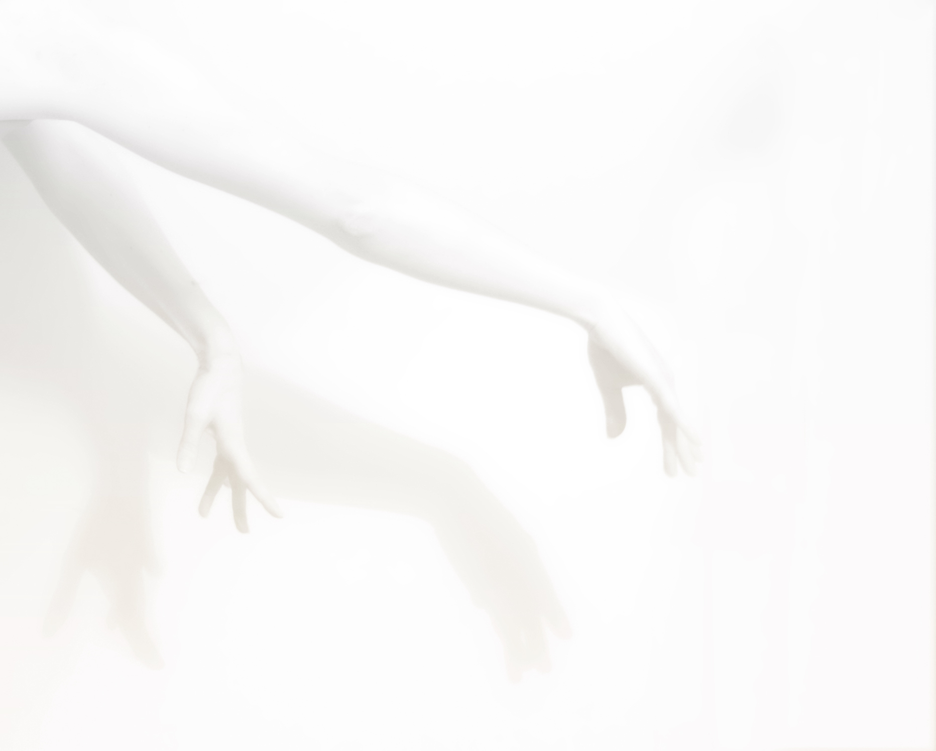 桌面上的壁纸轻 白色 自画像