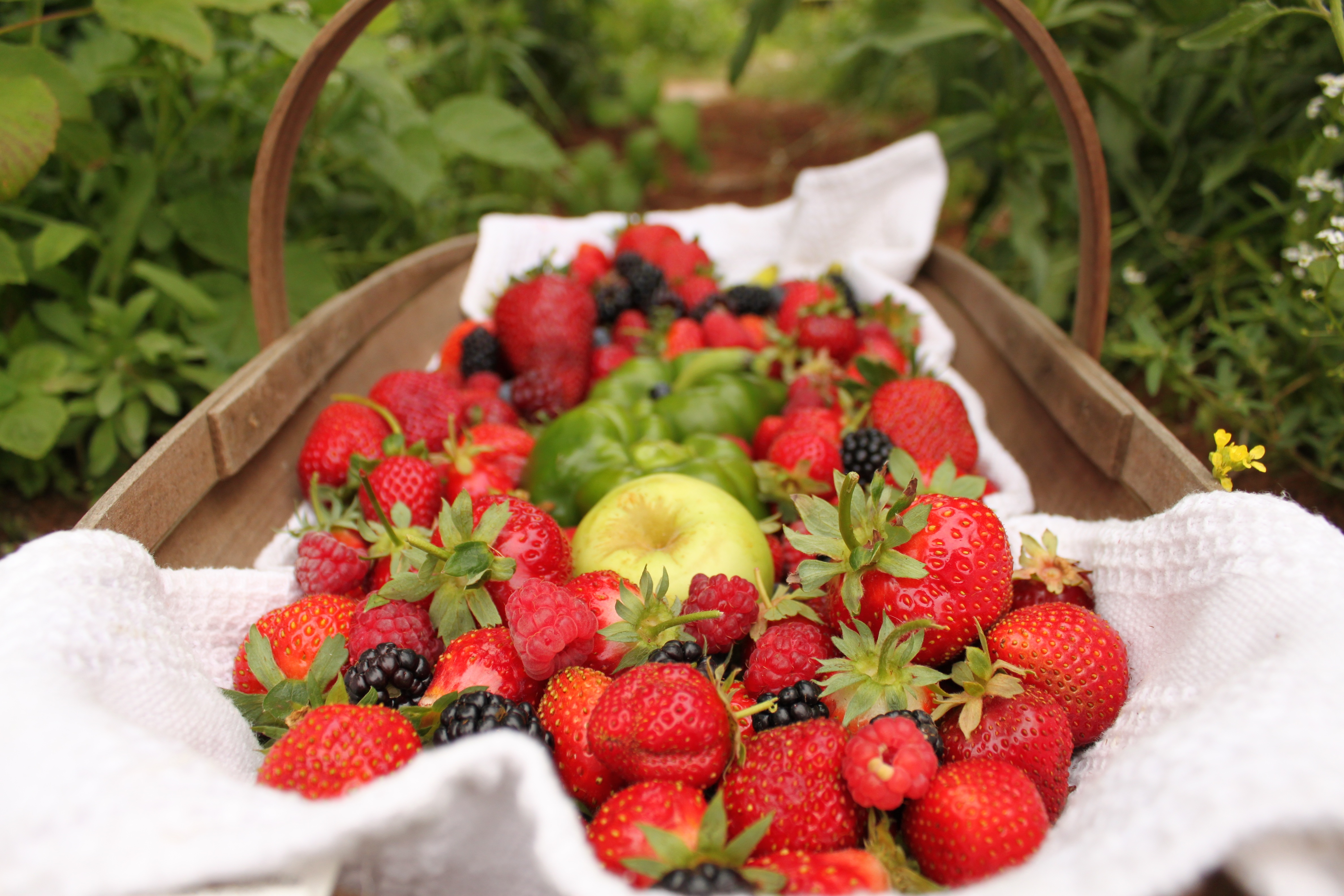 Free photo Delicious berries on a white cloth