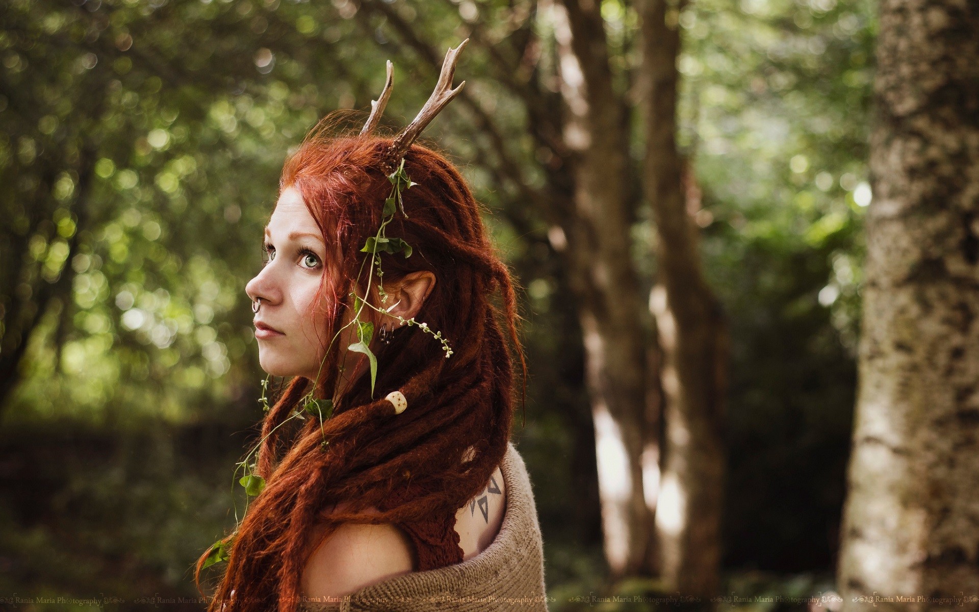 桌面上的壁纸日光 森林 人民