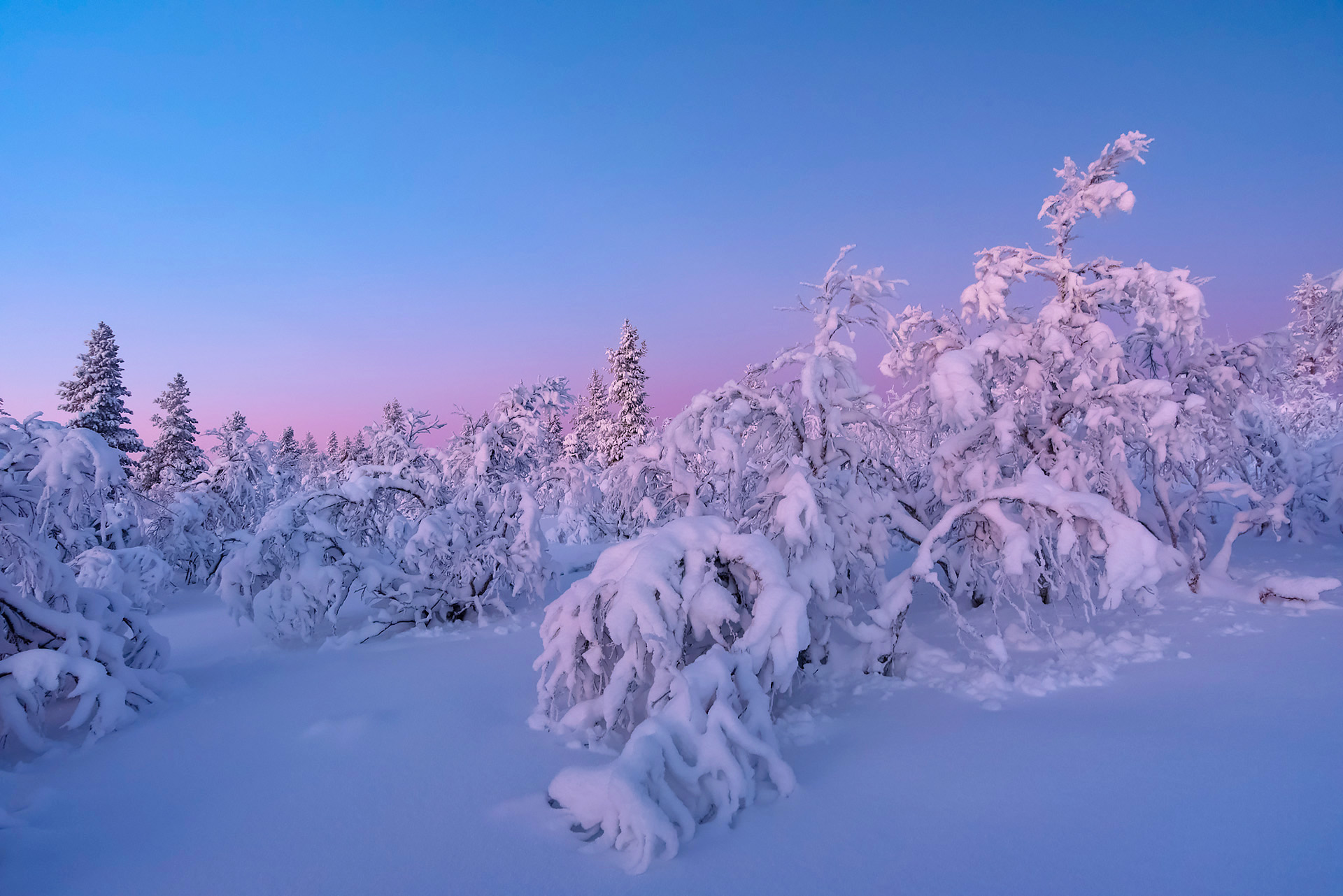 Wallpapers landscape snowdrifts nature on the desktop