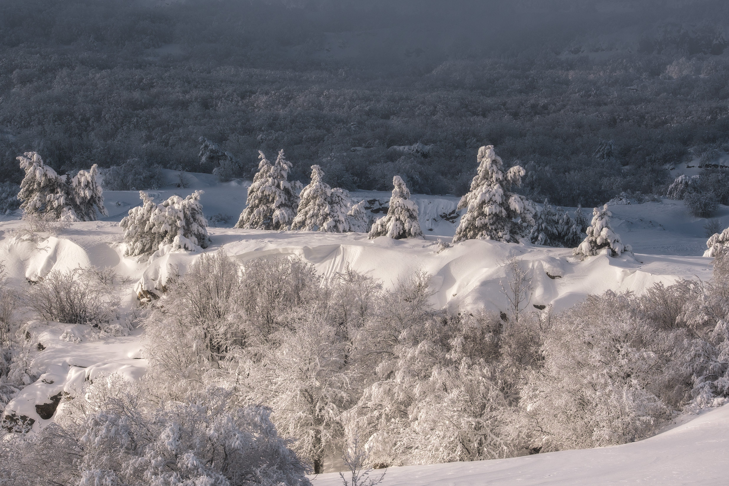 Бесплатное фото Нетипичный крымский пейзаж