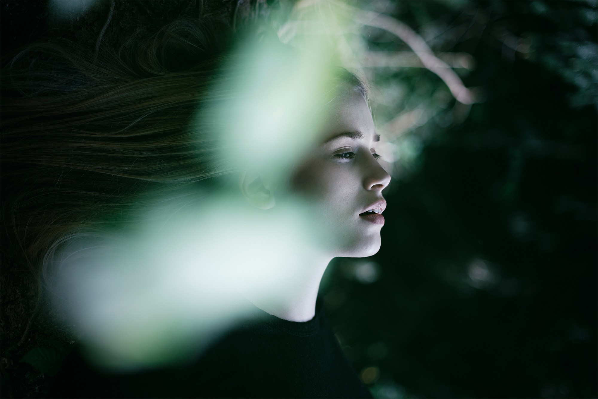 Обои солнечный свет женщина модель на рабочий стол