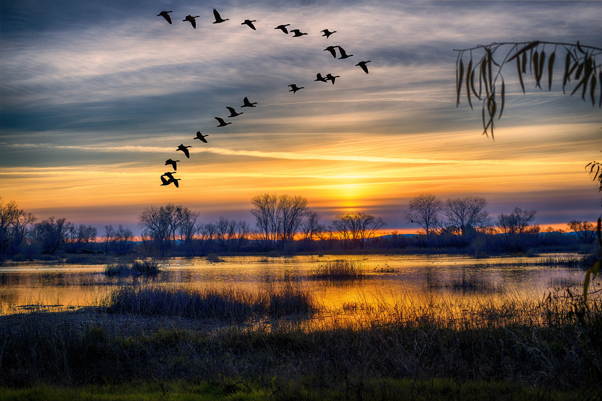 Free photo Sunset at gray Lodge and a flock of birds