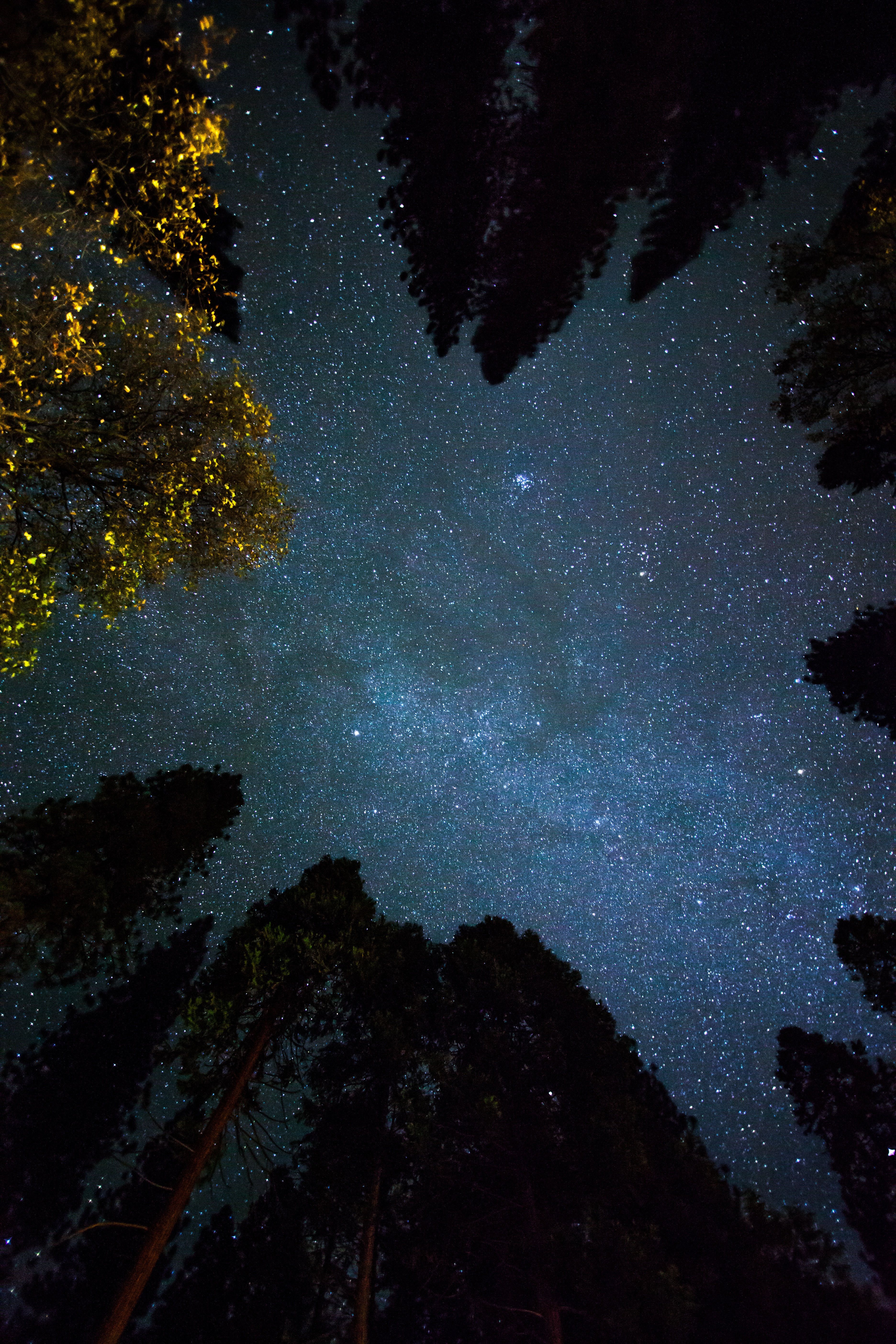 桌面上的壁纸星系 木材 大气层