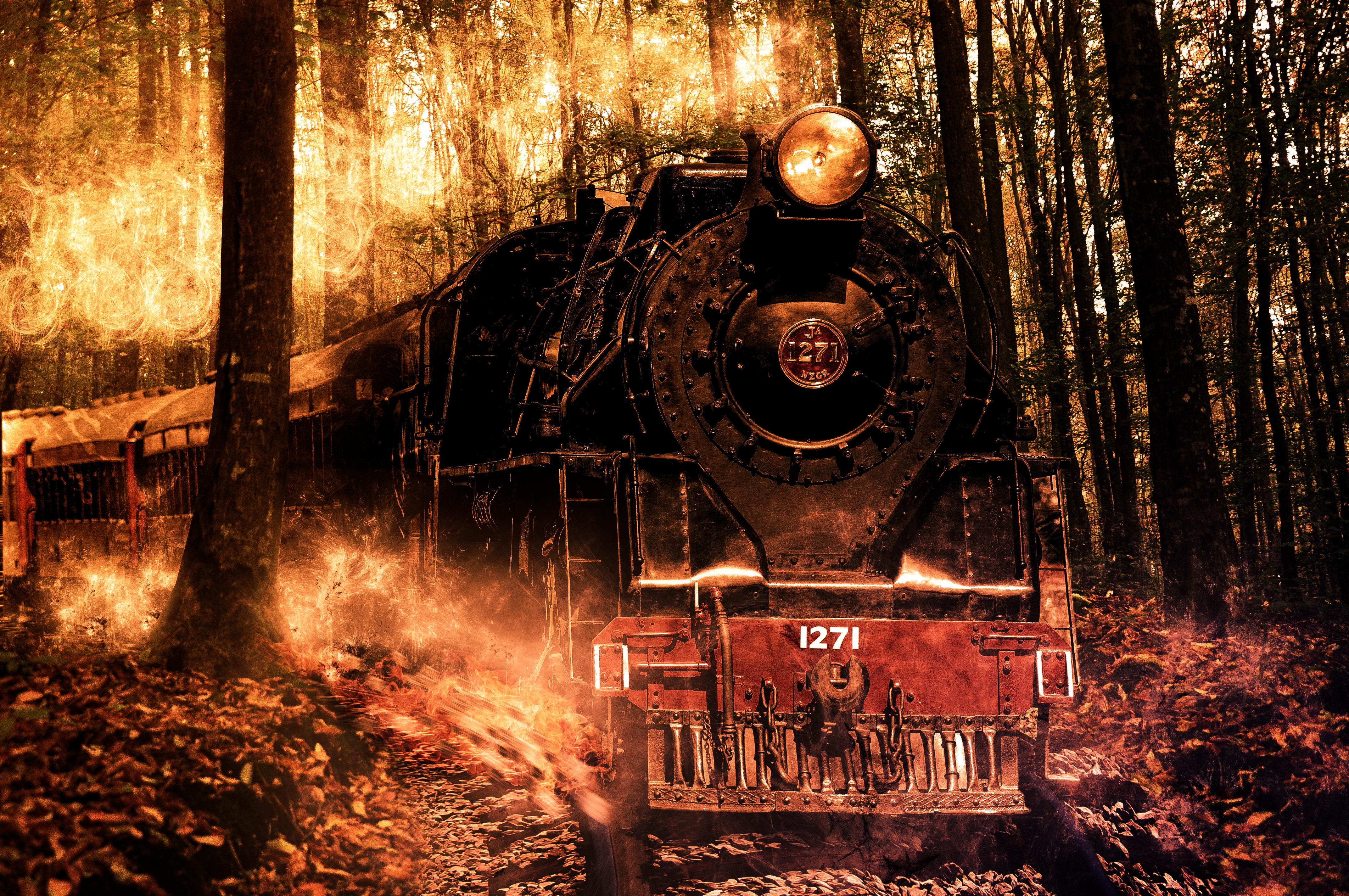 一列火红的火车头驶过树林。