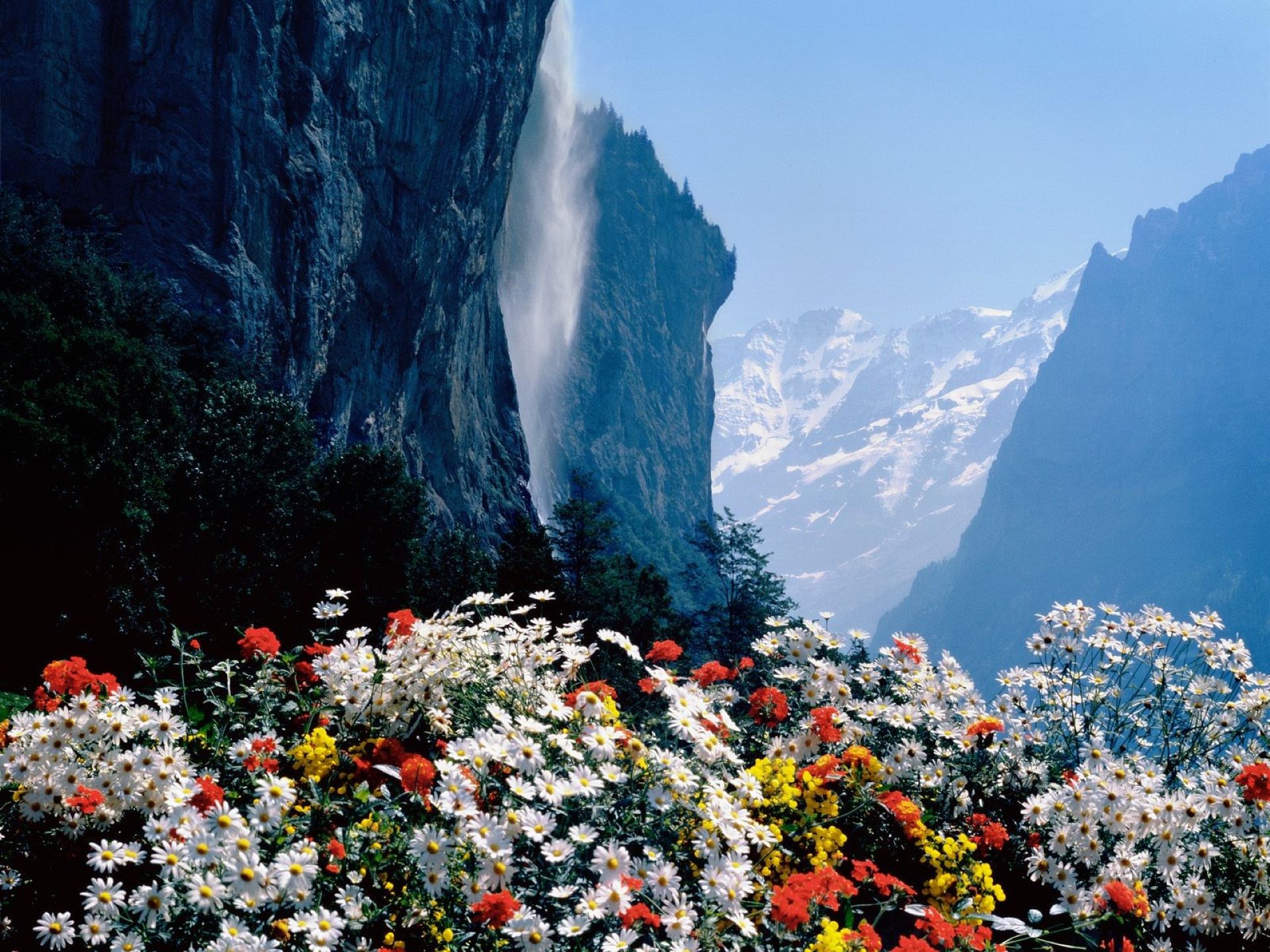 免费照片花团锦簇的美丽山景