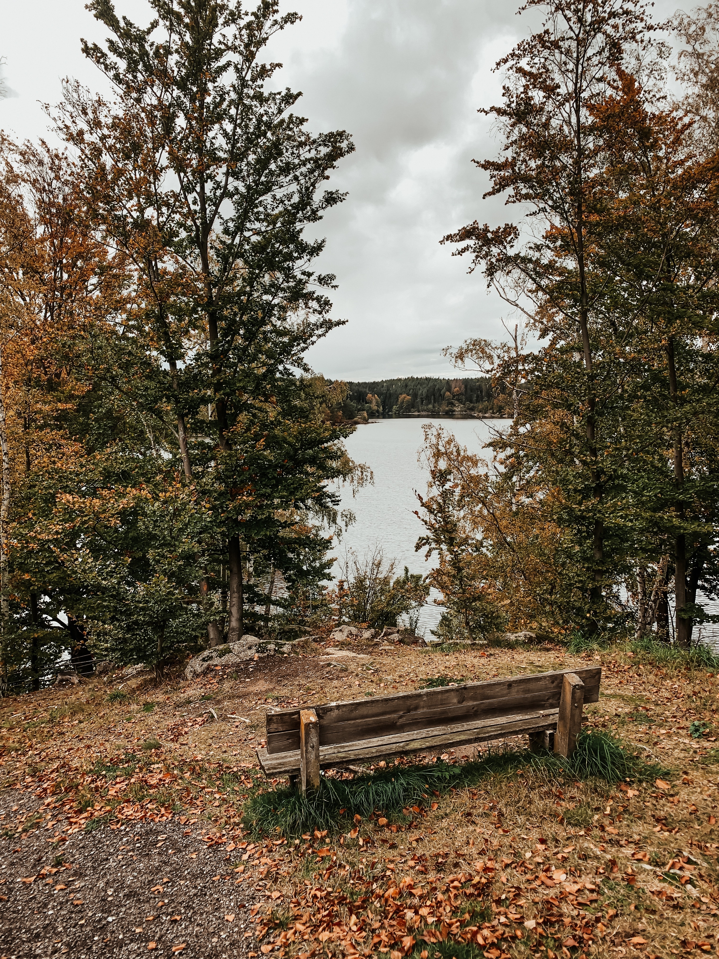湖边的长椅，风景优美
