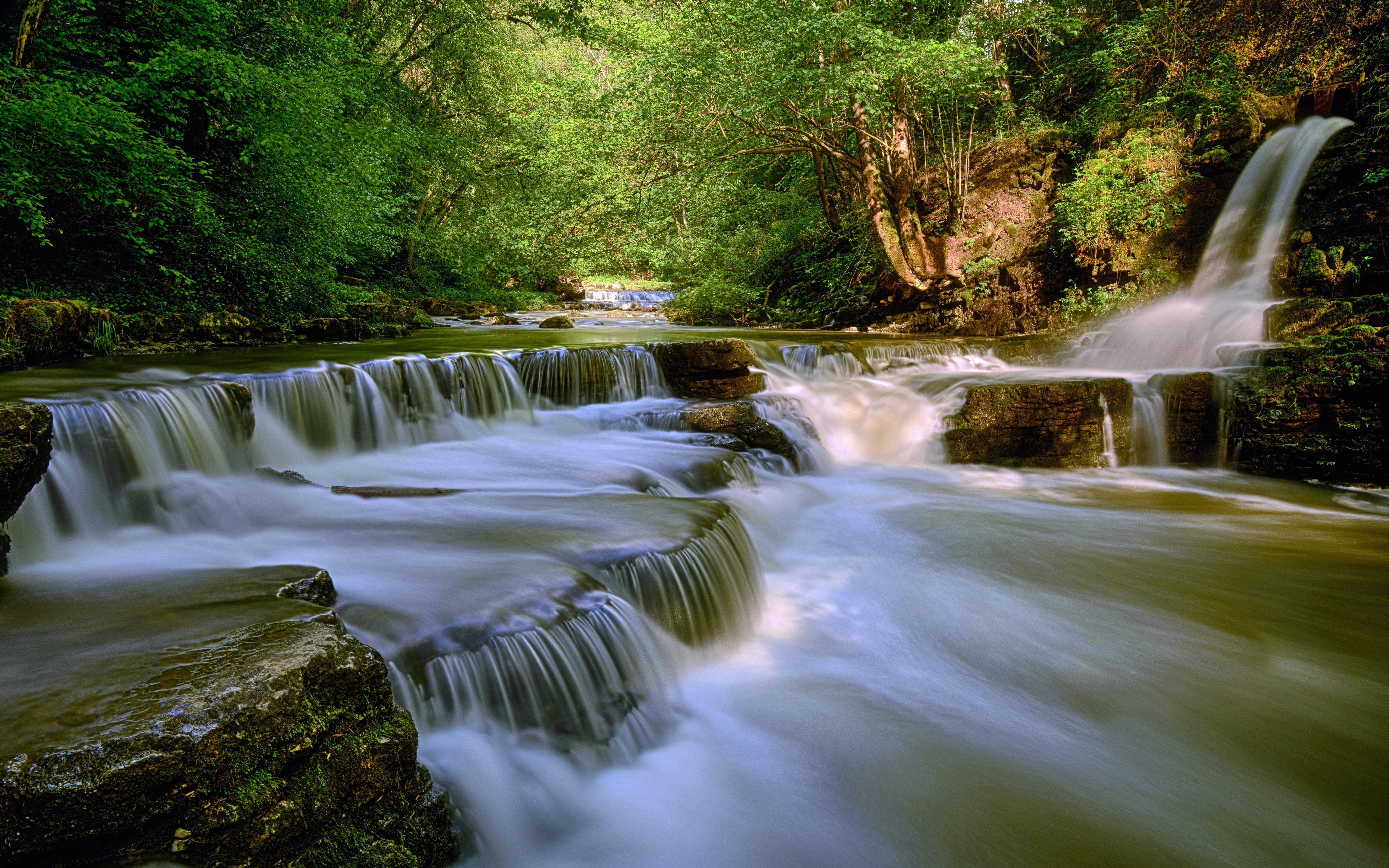 Бесплатное фото Лесной водопад