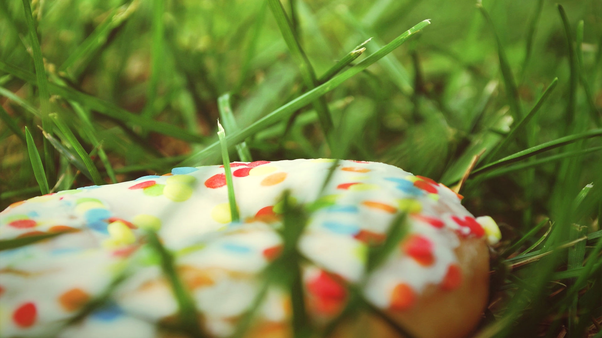 Wallpapers food grass green on the desktop