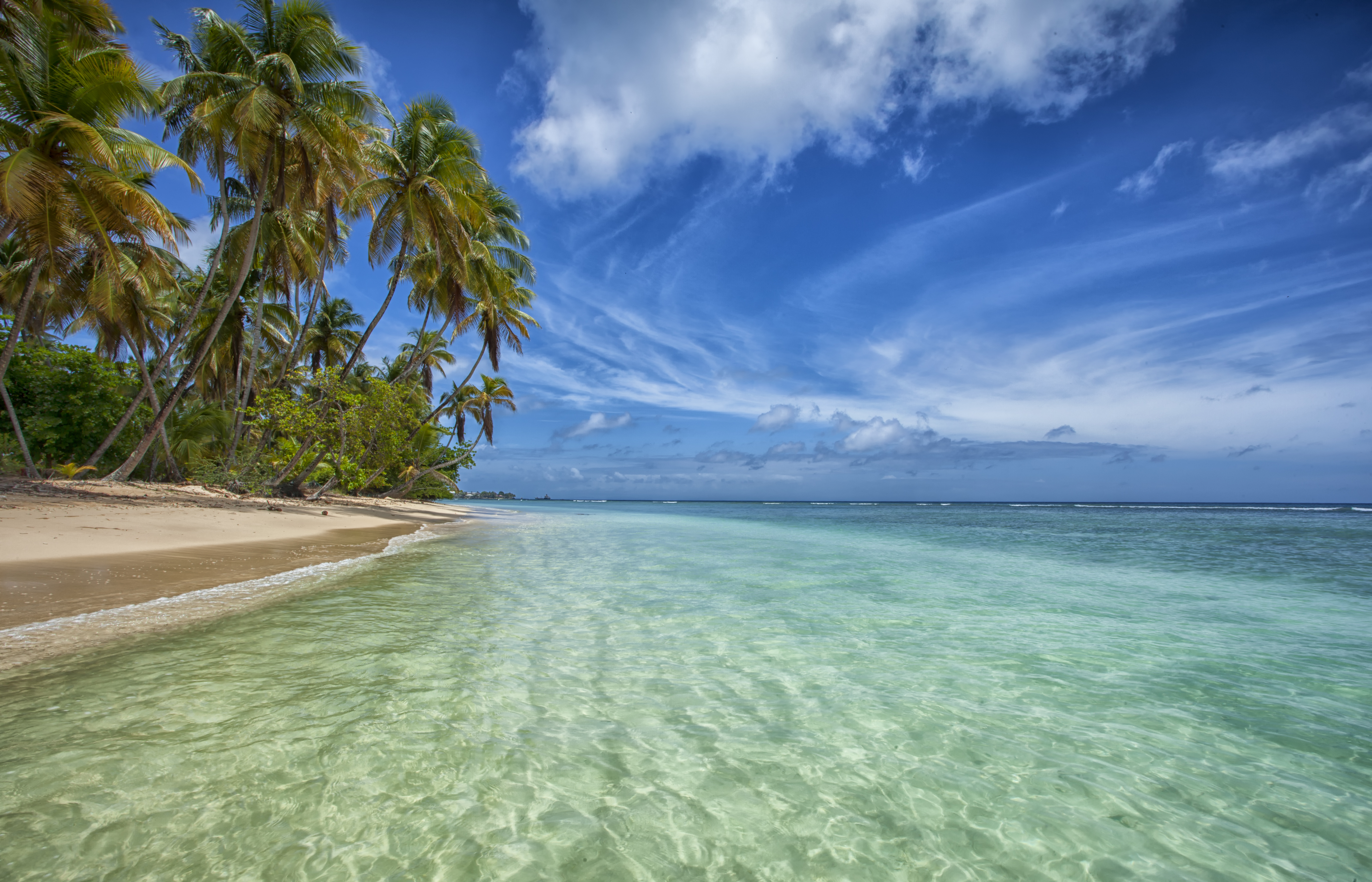 Wallpapers island tobago atlantic ocean on the desktop