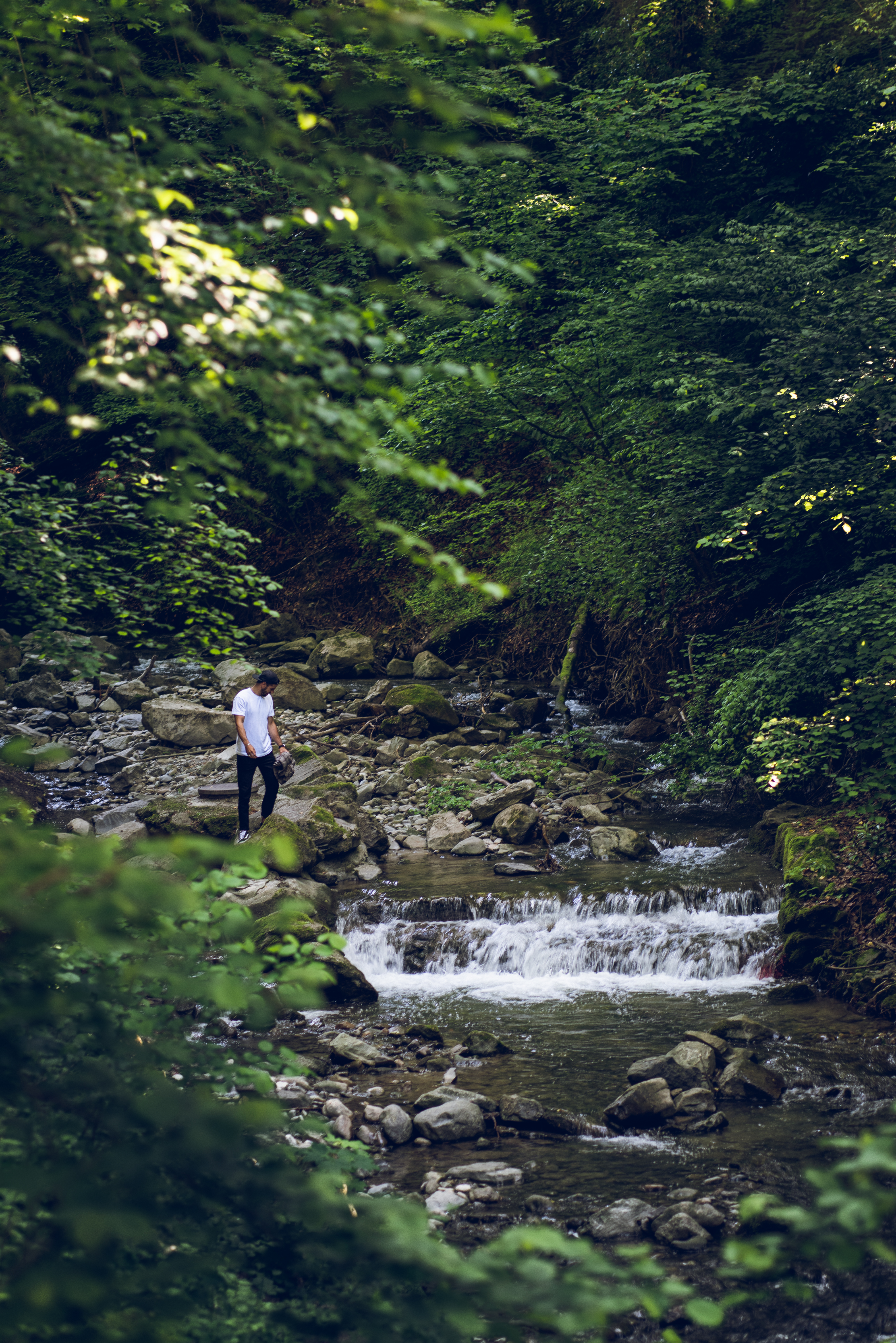 桌面上的壁纸徒步旅行 河流 森林