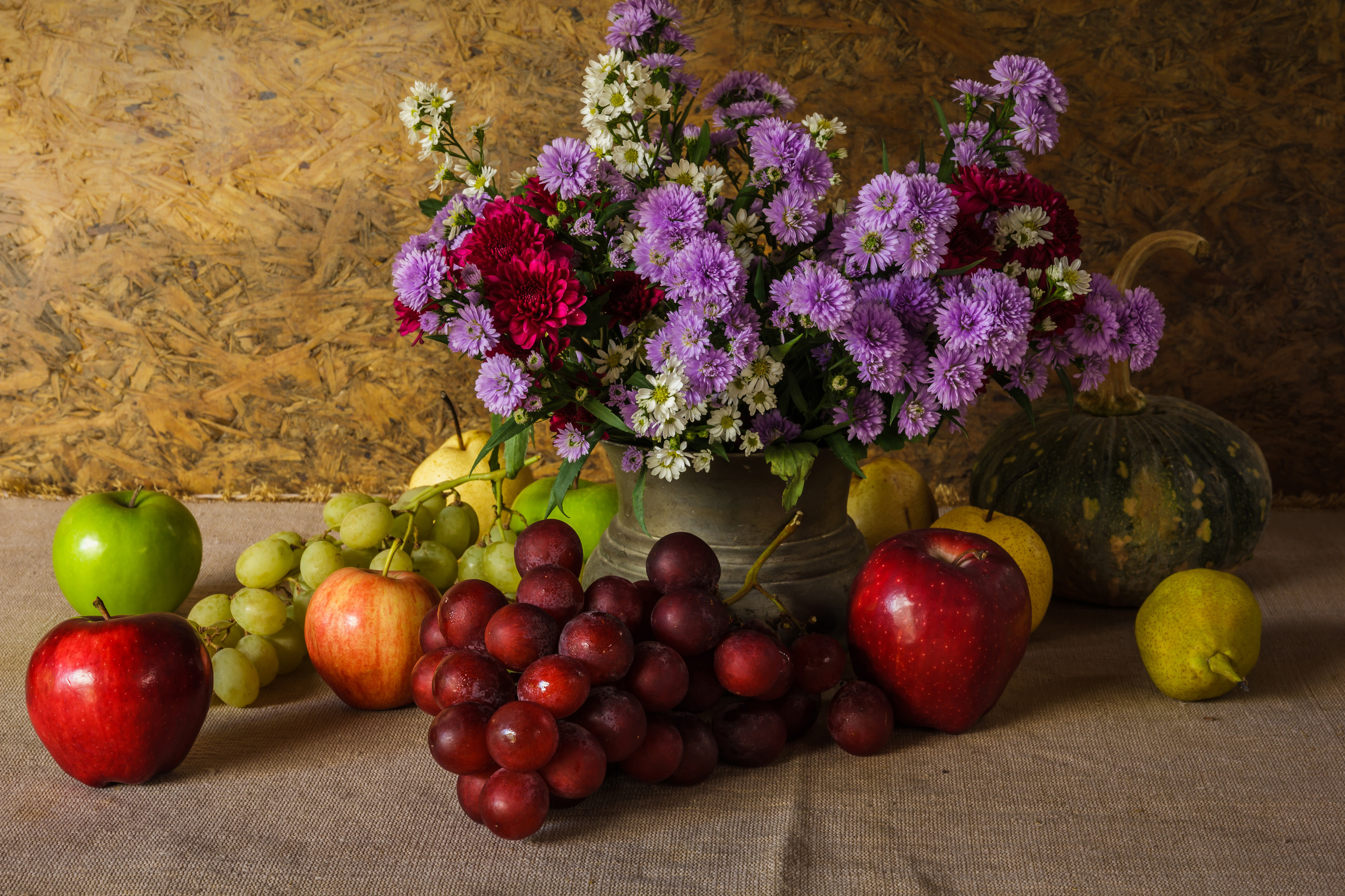 Free photo Autumn asters and vine