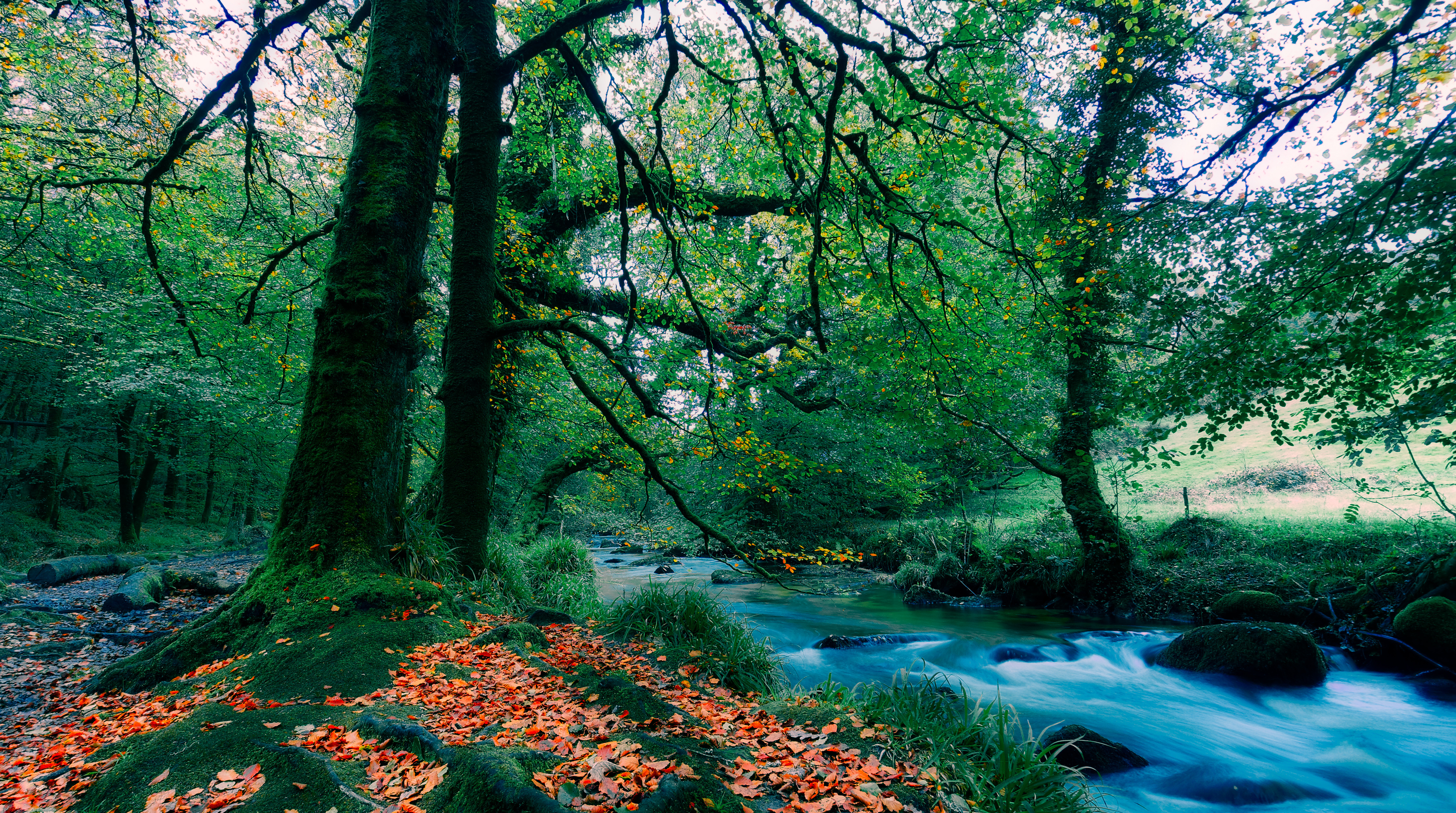 Free photo Wallpaper river, autumn leaves high quality